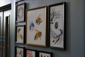 Framed artwork of bees and insects on wall.