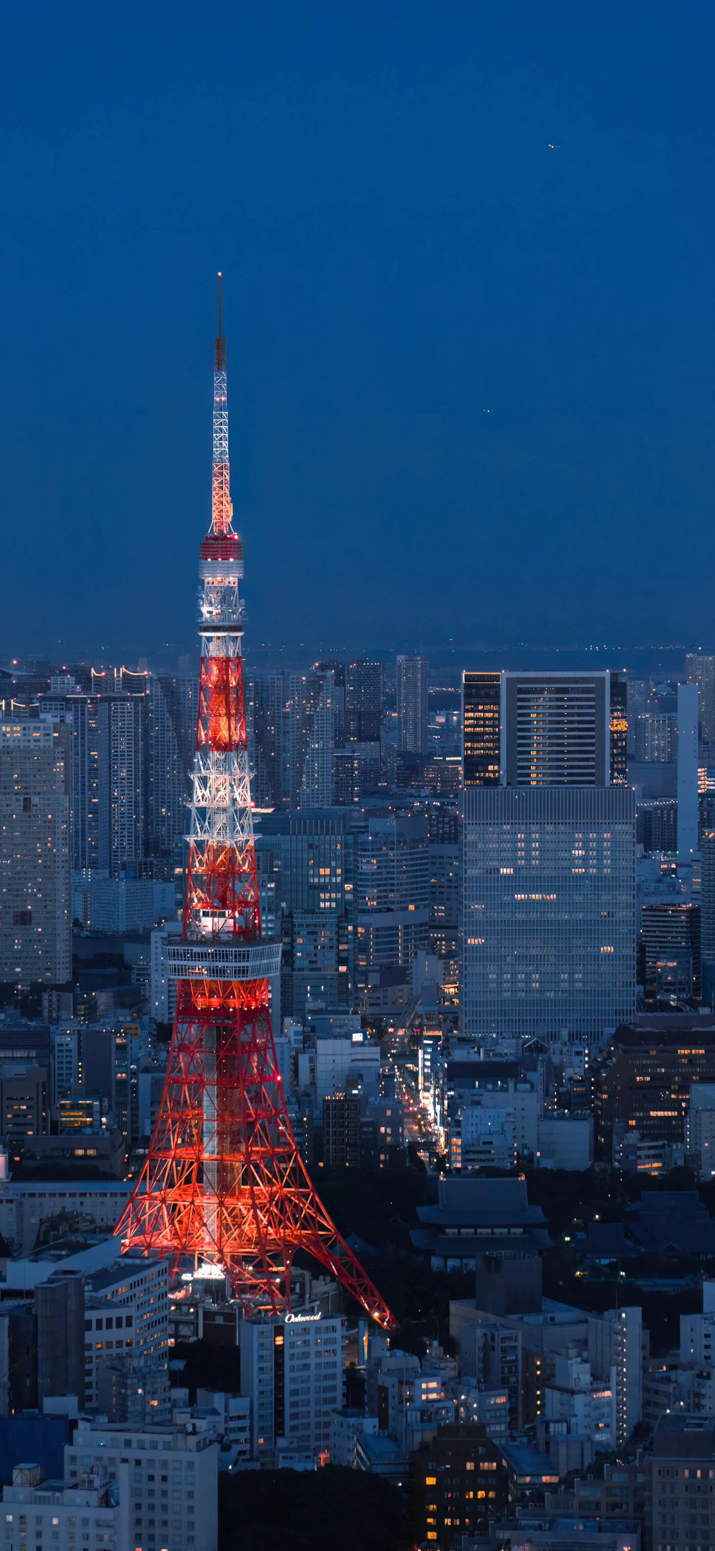 Tokyo Tower lit up at dusk among the city lights of Tokyo