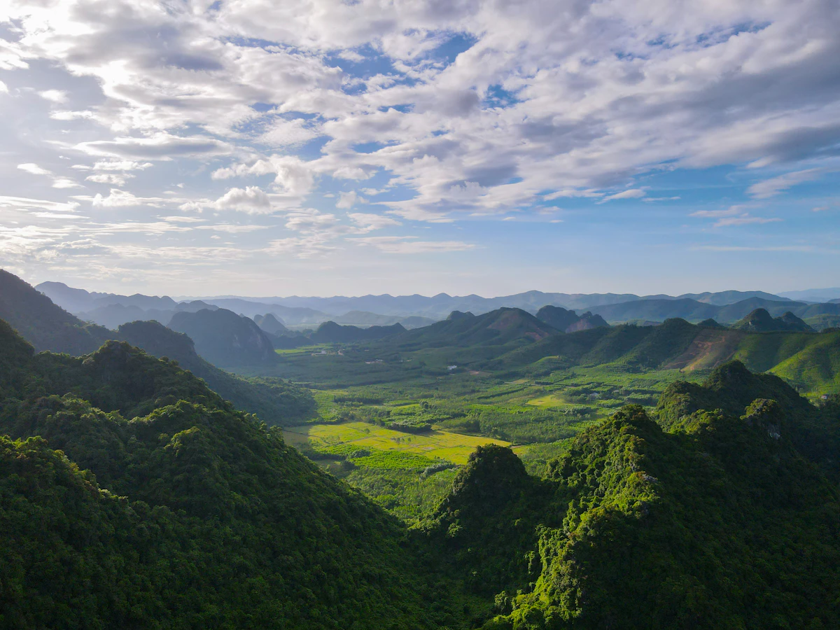 Phong Nha Ke Bang National Park Core Zone Primary Rainforest