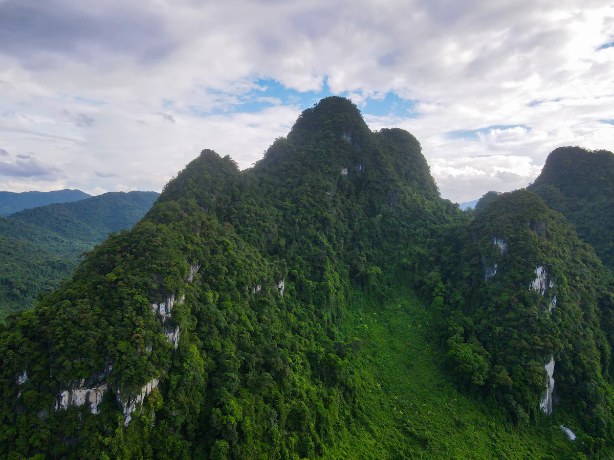 Phong Nha Ke Bang Primary Rainforest Jungle Trek