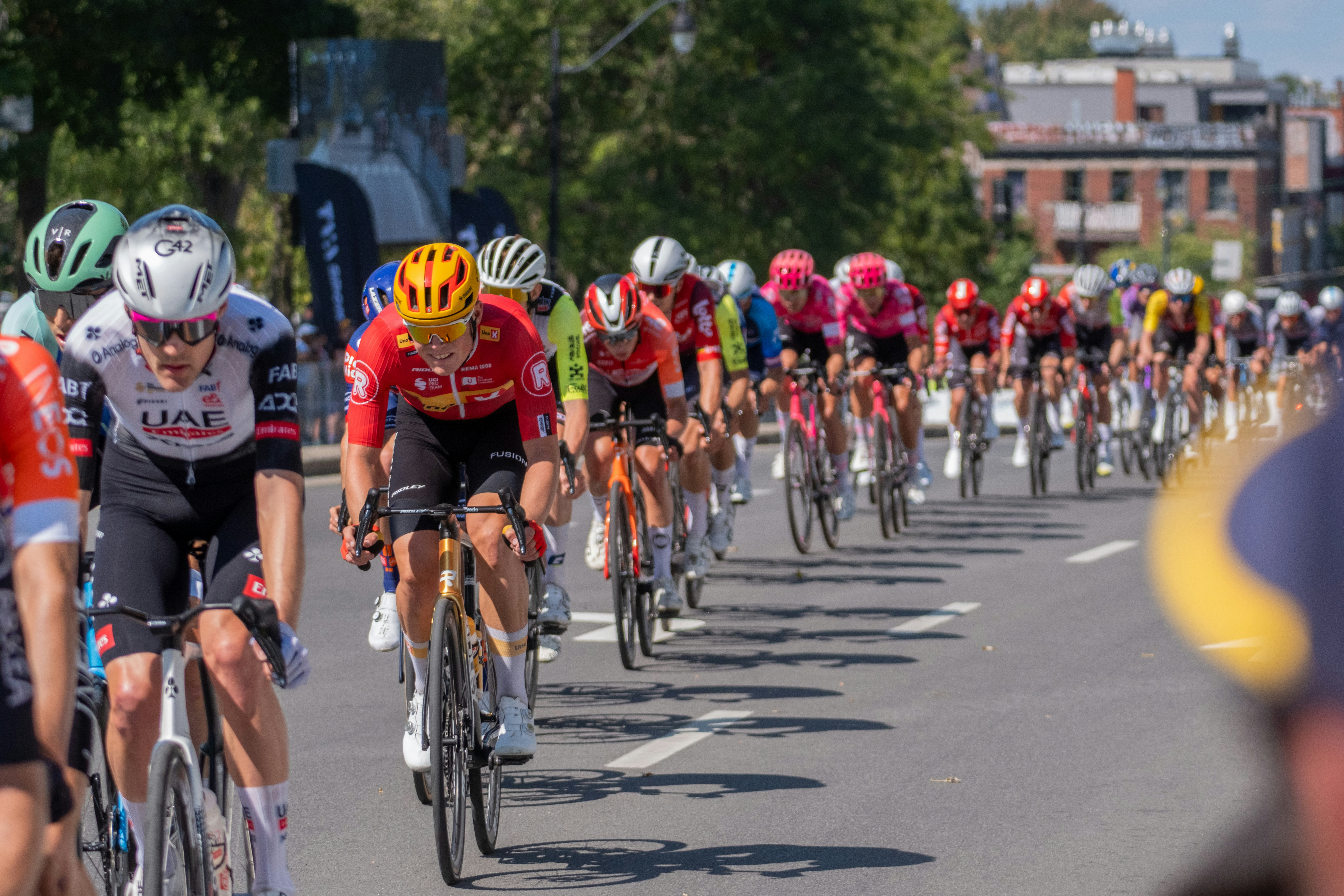 Cyclists racing in a peloton on a sunny day.