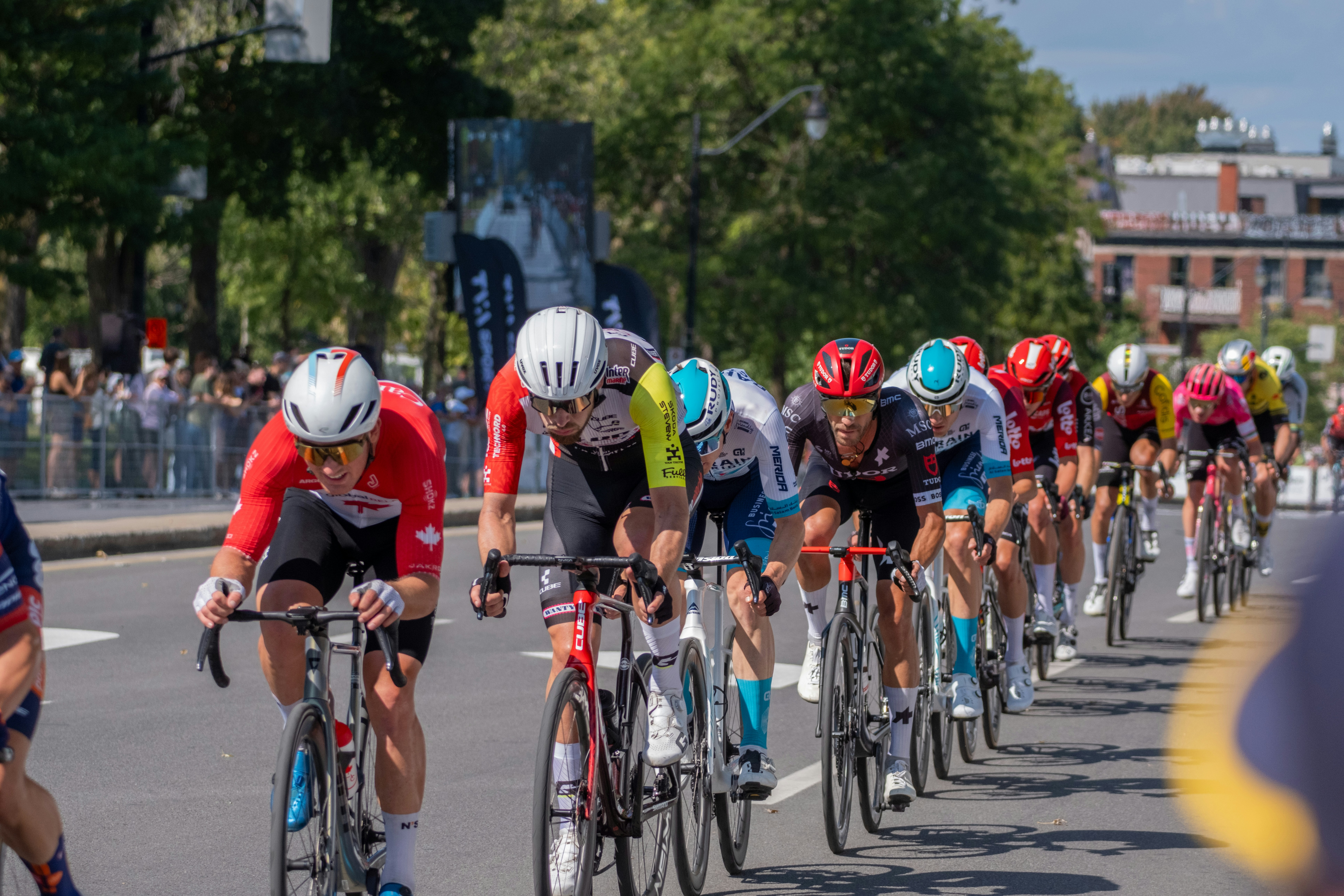 Cyclists racing in a professional road race event.
