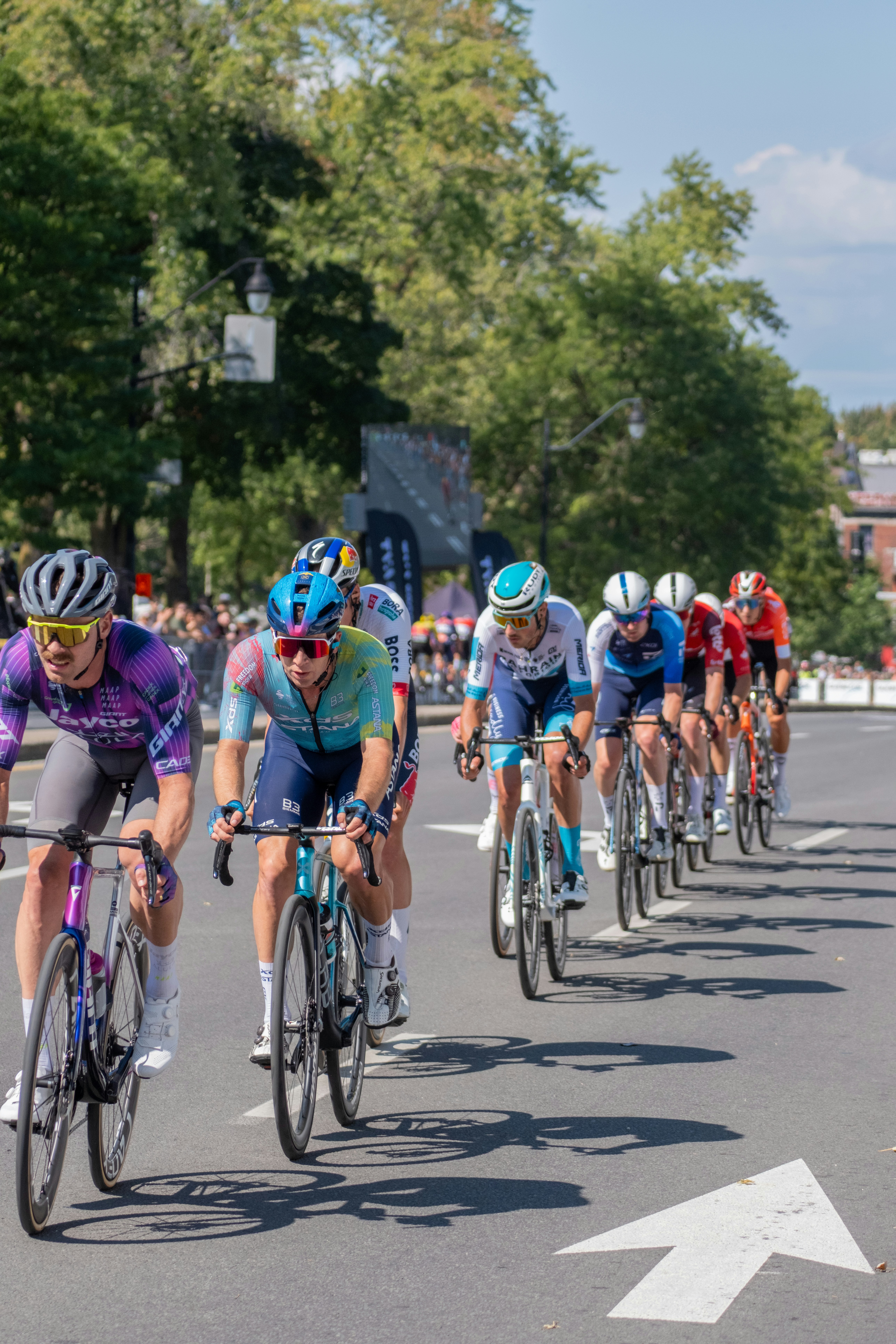 Cyclists race down a paved road on a sunny day.