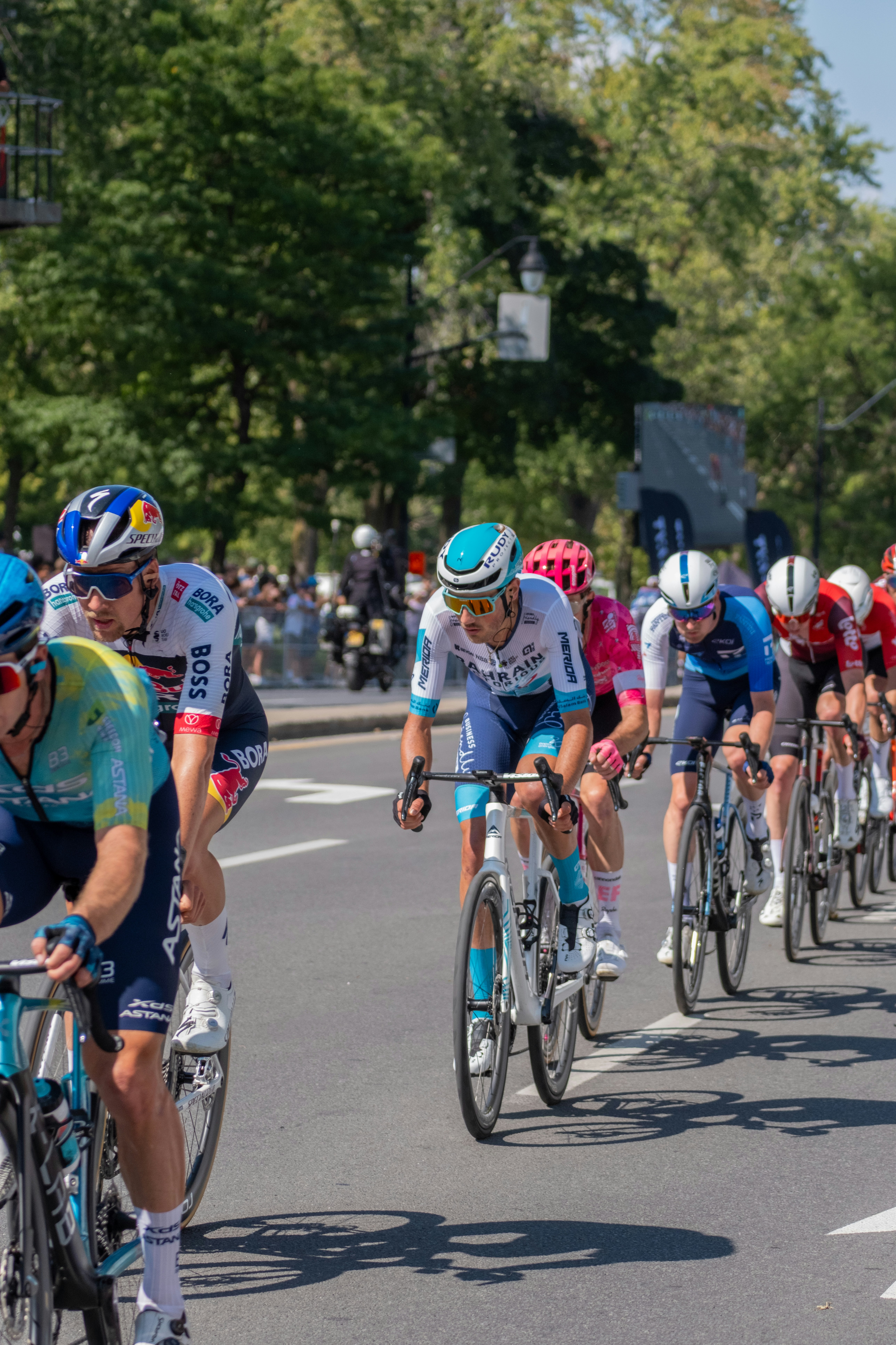 Cyclists in a race on a sunny day