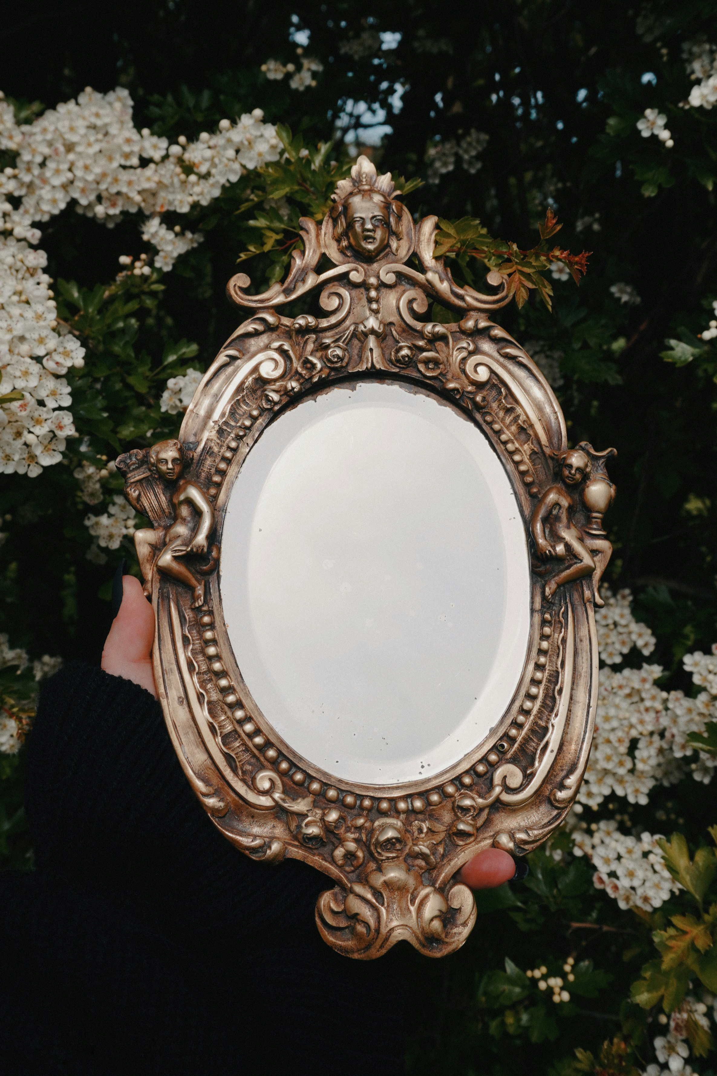 Ornate antique mirror held against white blossoms
