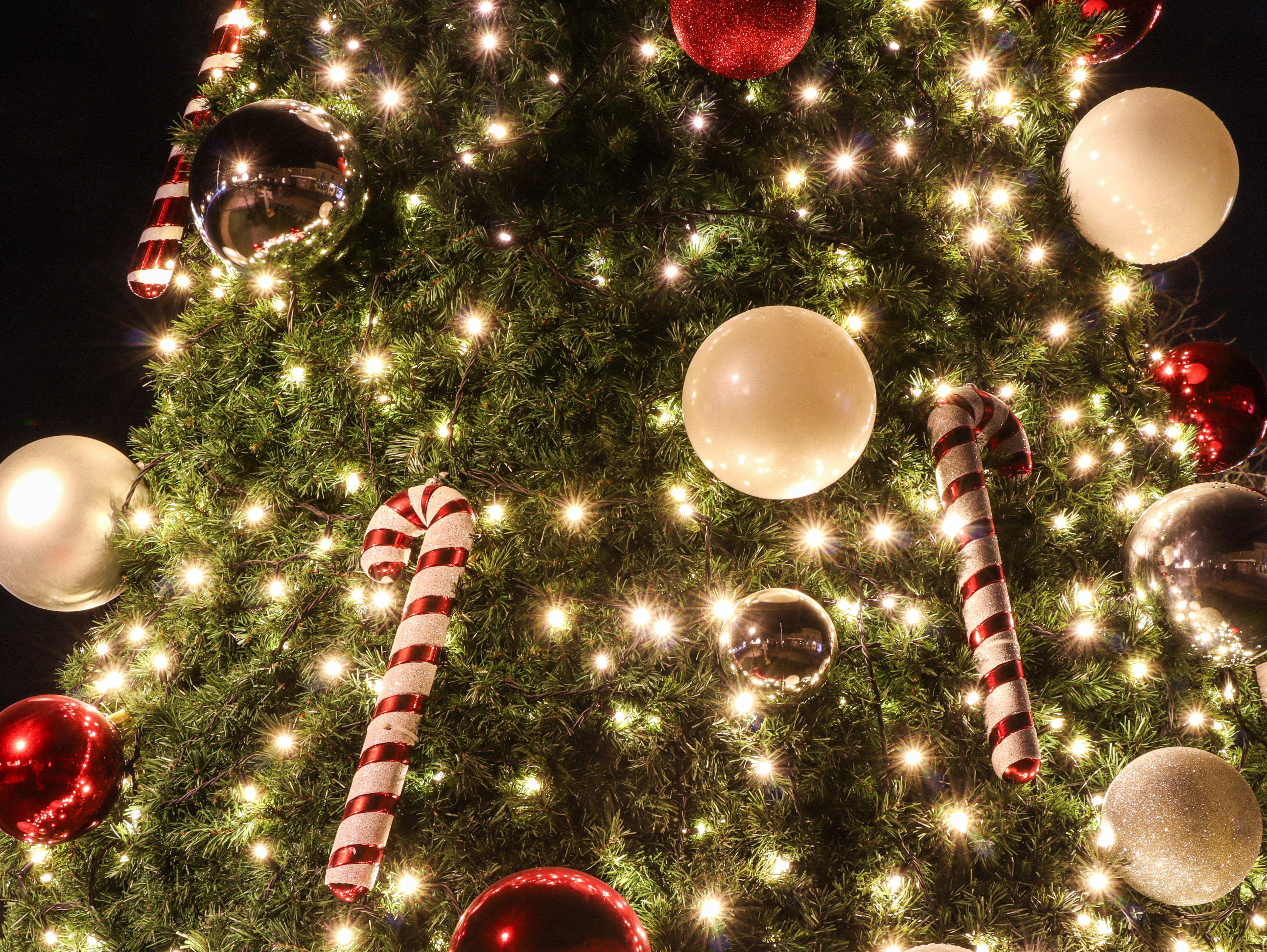 Photo by mhfphotographygb