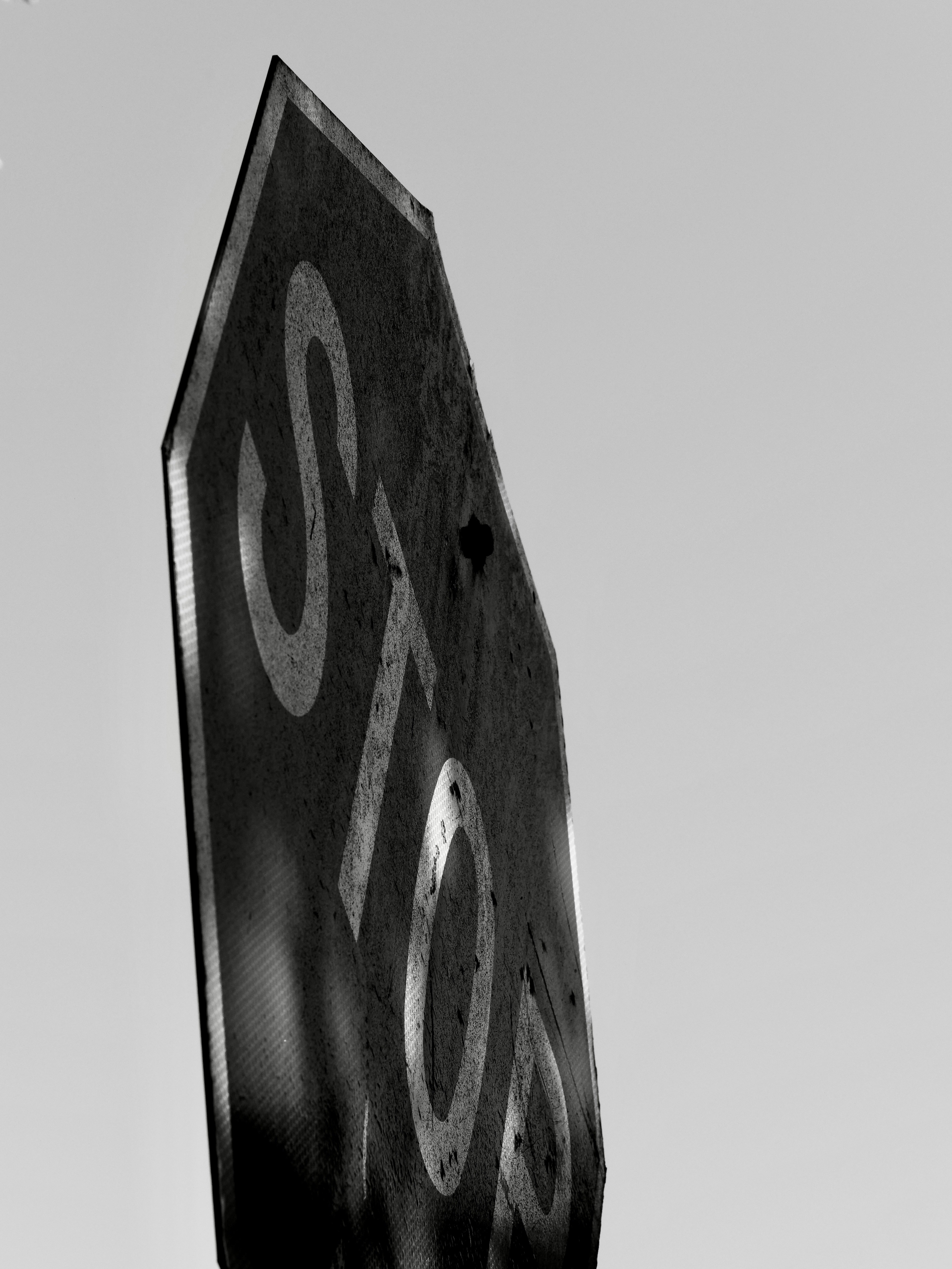 Photo by sschusterphotoart