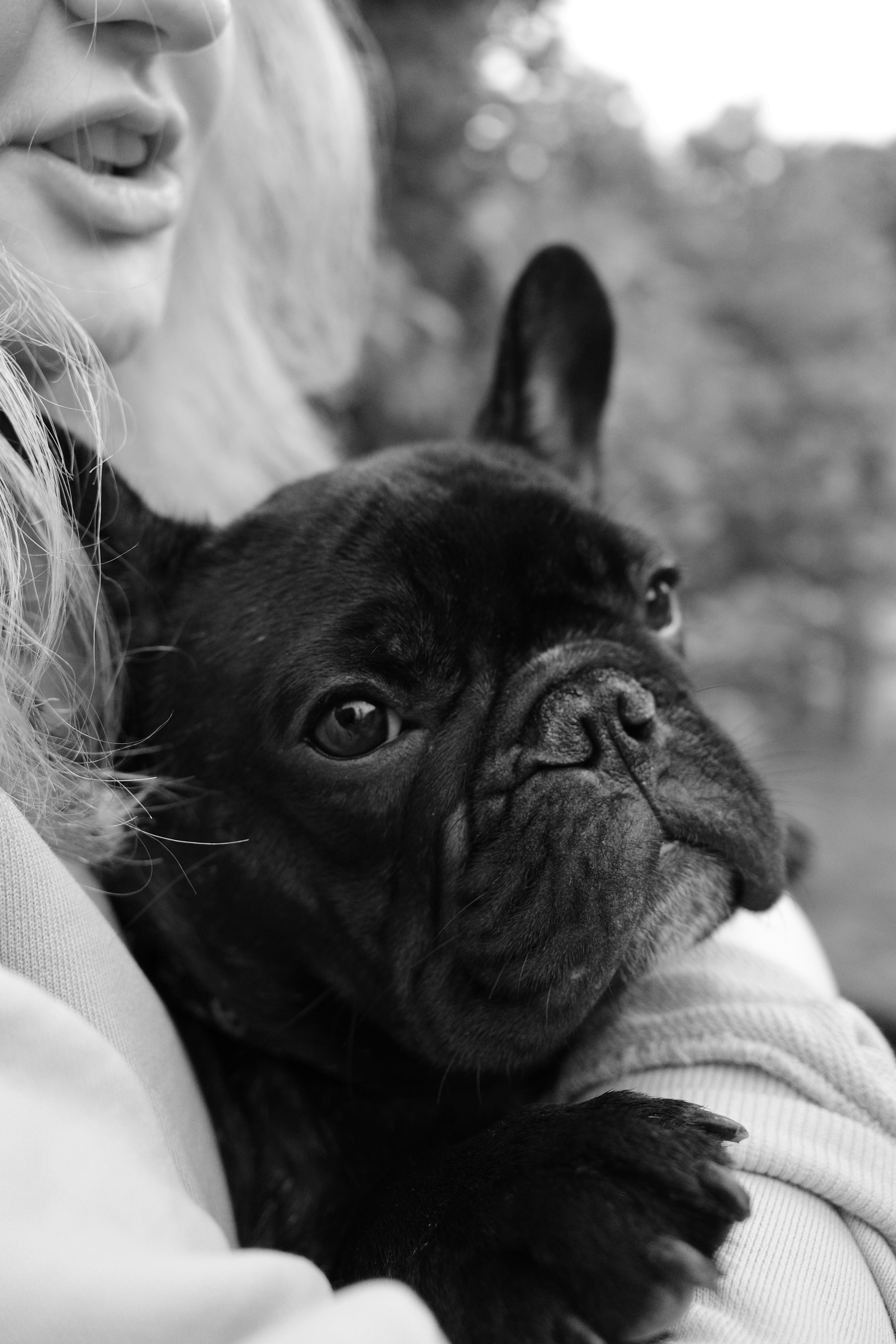 Photo by mikhail_mamaev