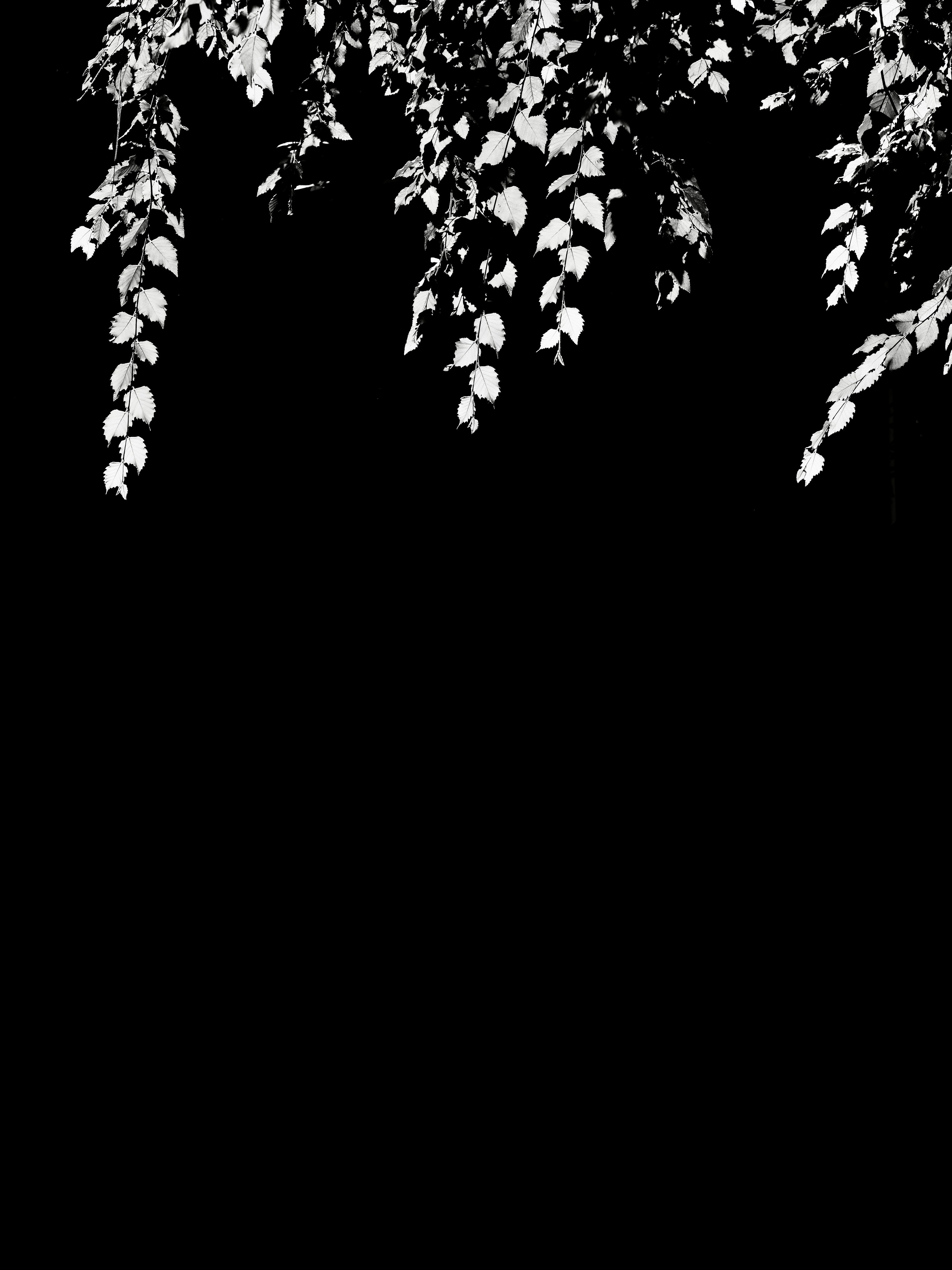 Photo by sschusterphotoart