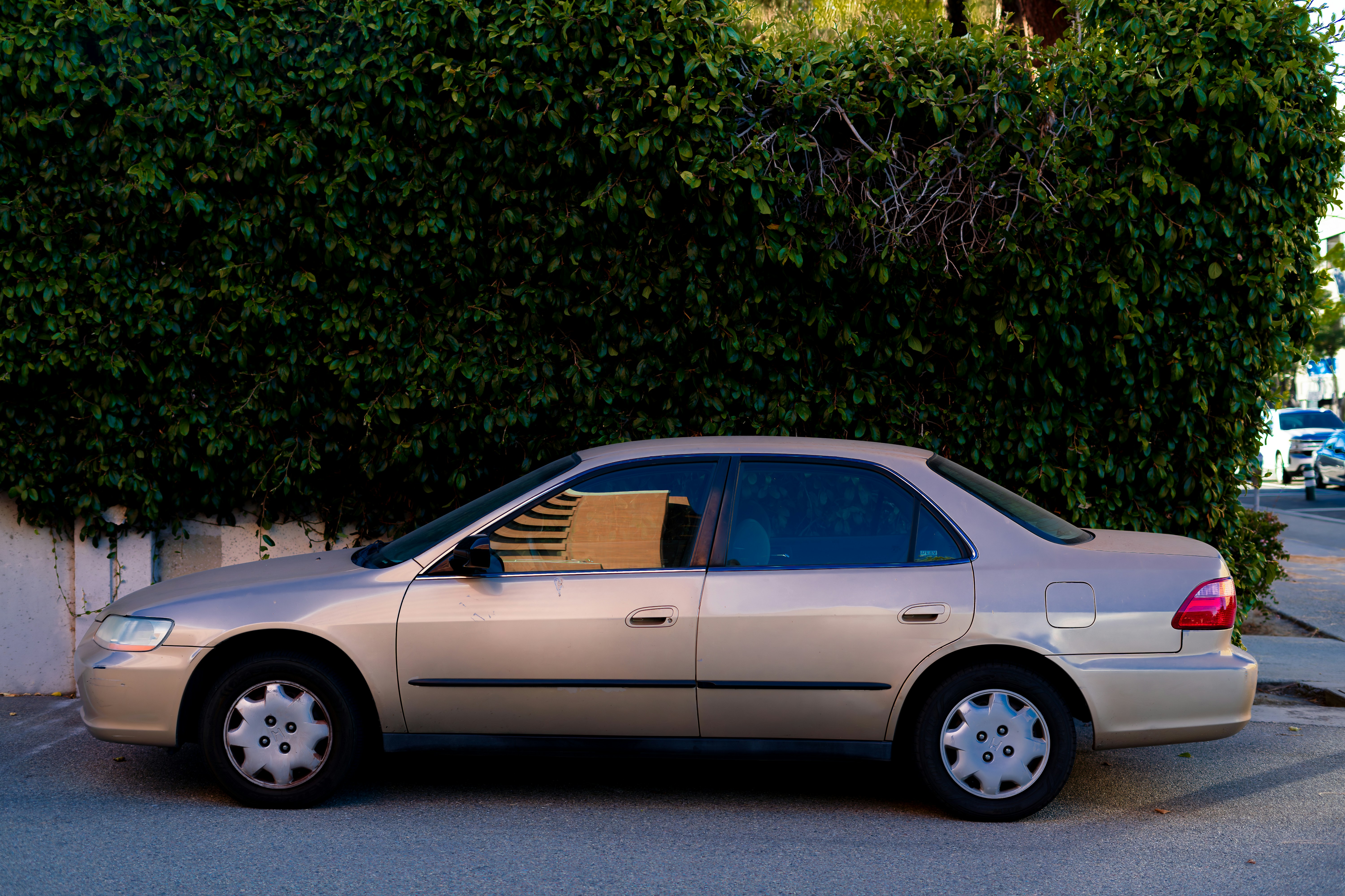 A beige sedan parked against a green hedge.