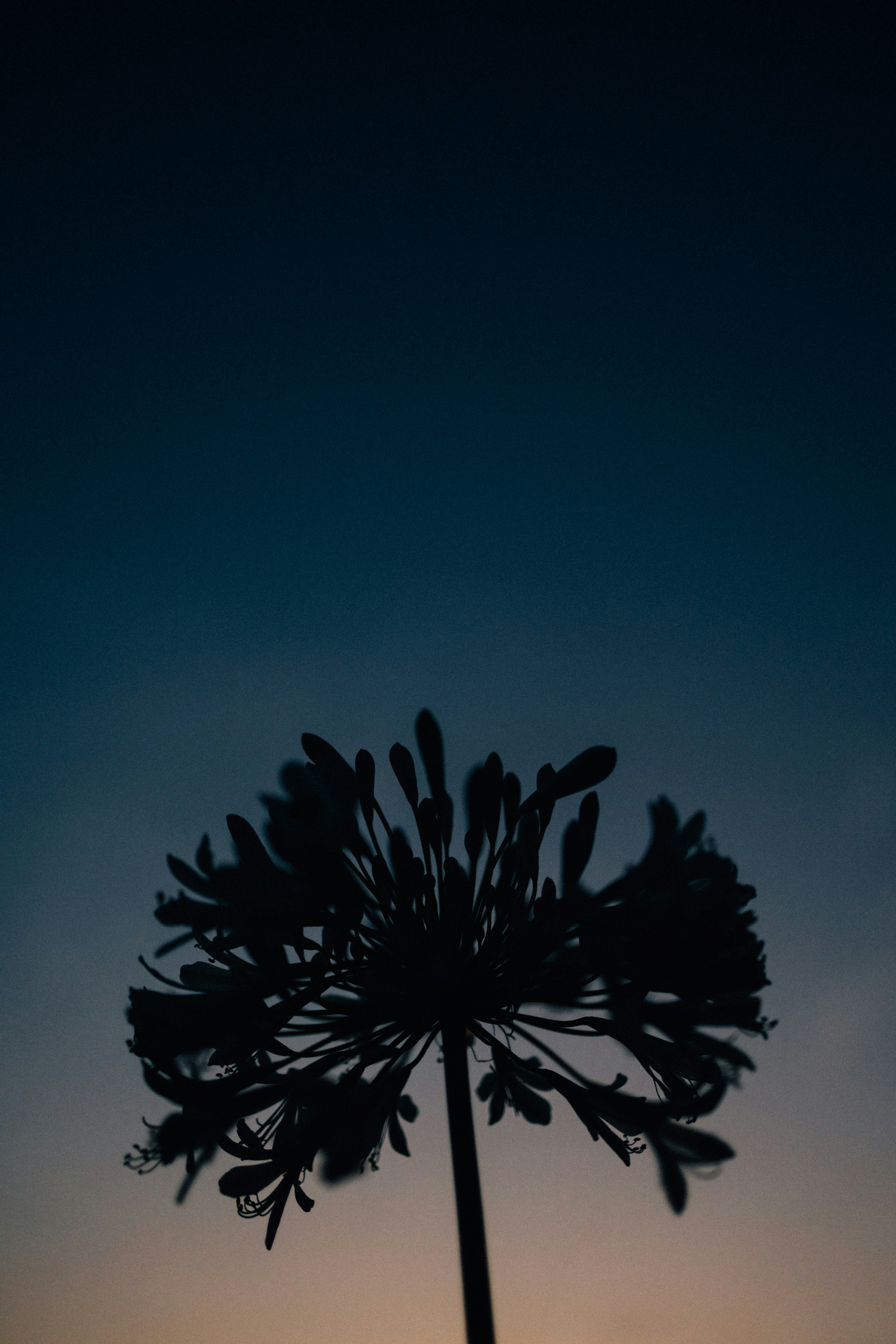 Photo by tsuyoshikozu