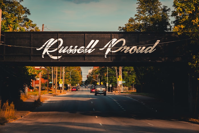 Louisville neighborhood street mural