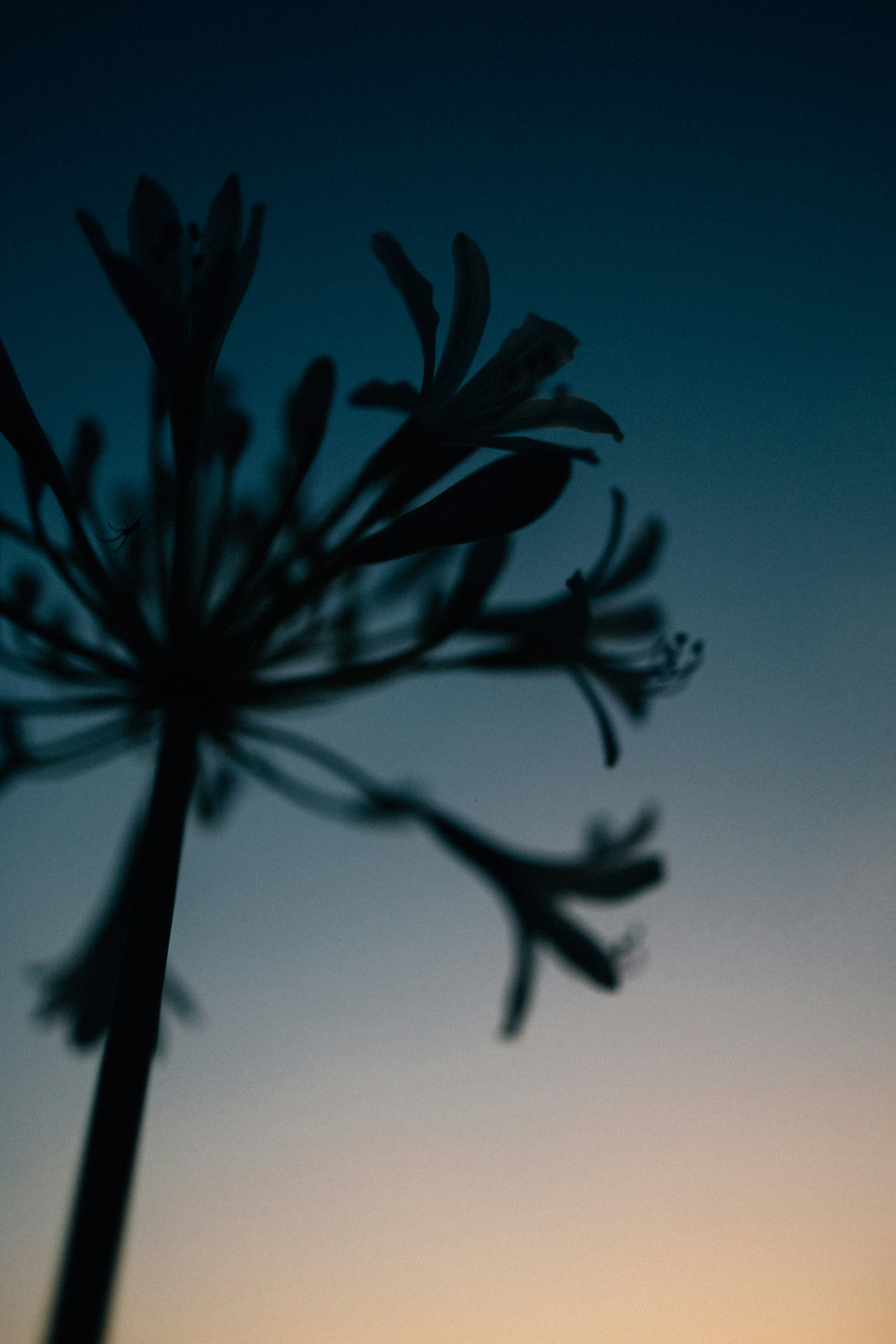 Photo by tsuyoshikozu