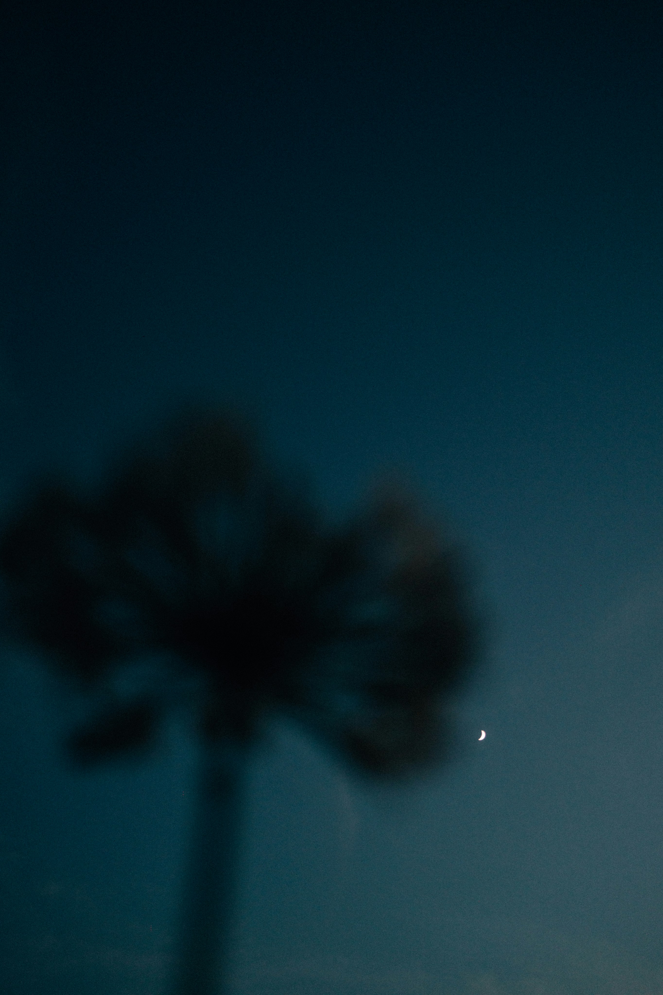 calm night sky, wallpaper, 6 Cara Mengatasi Batuk dan Sesak Nafas di Malam Hari 3