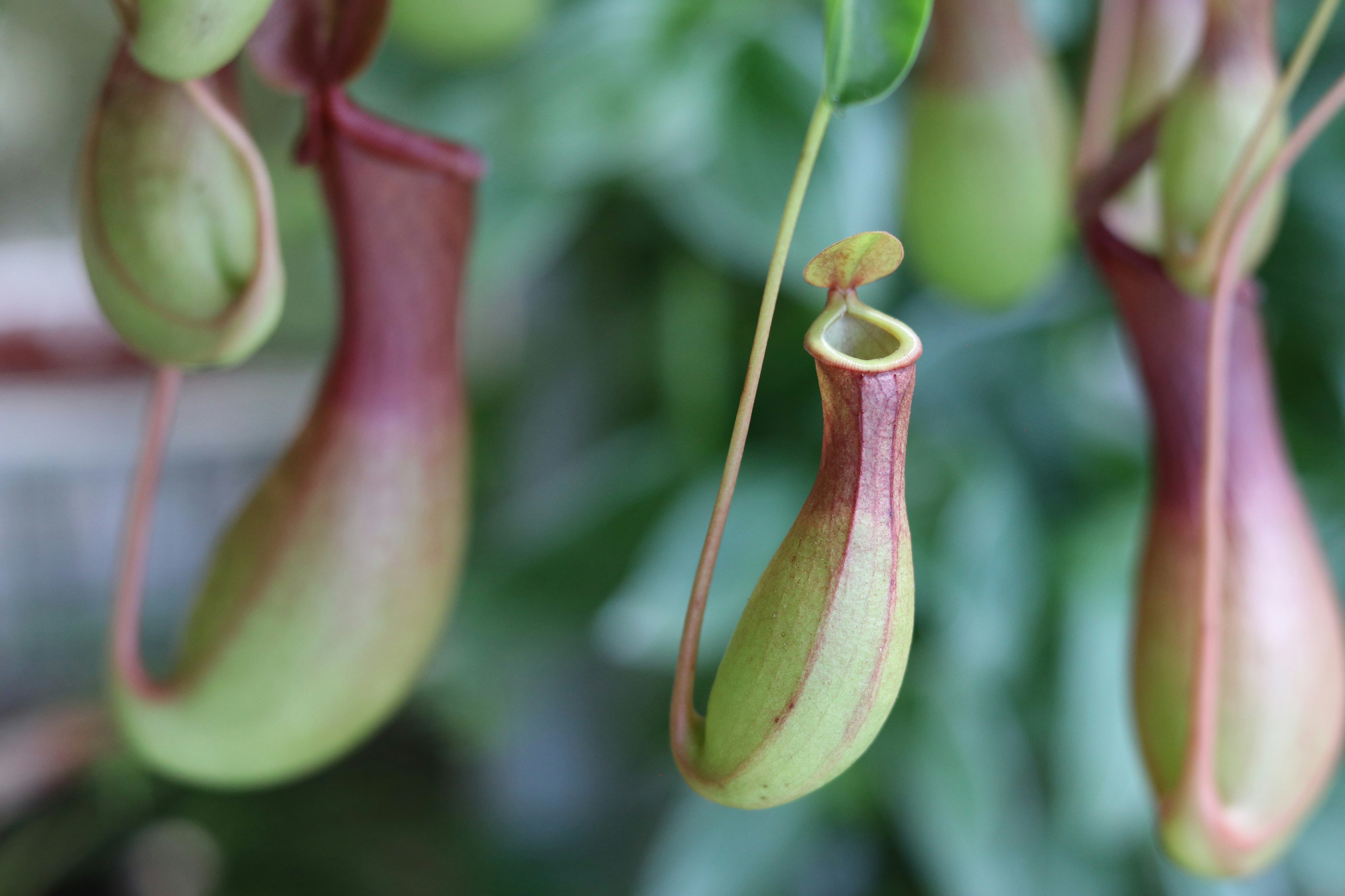 Photo by amenamabrouk