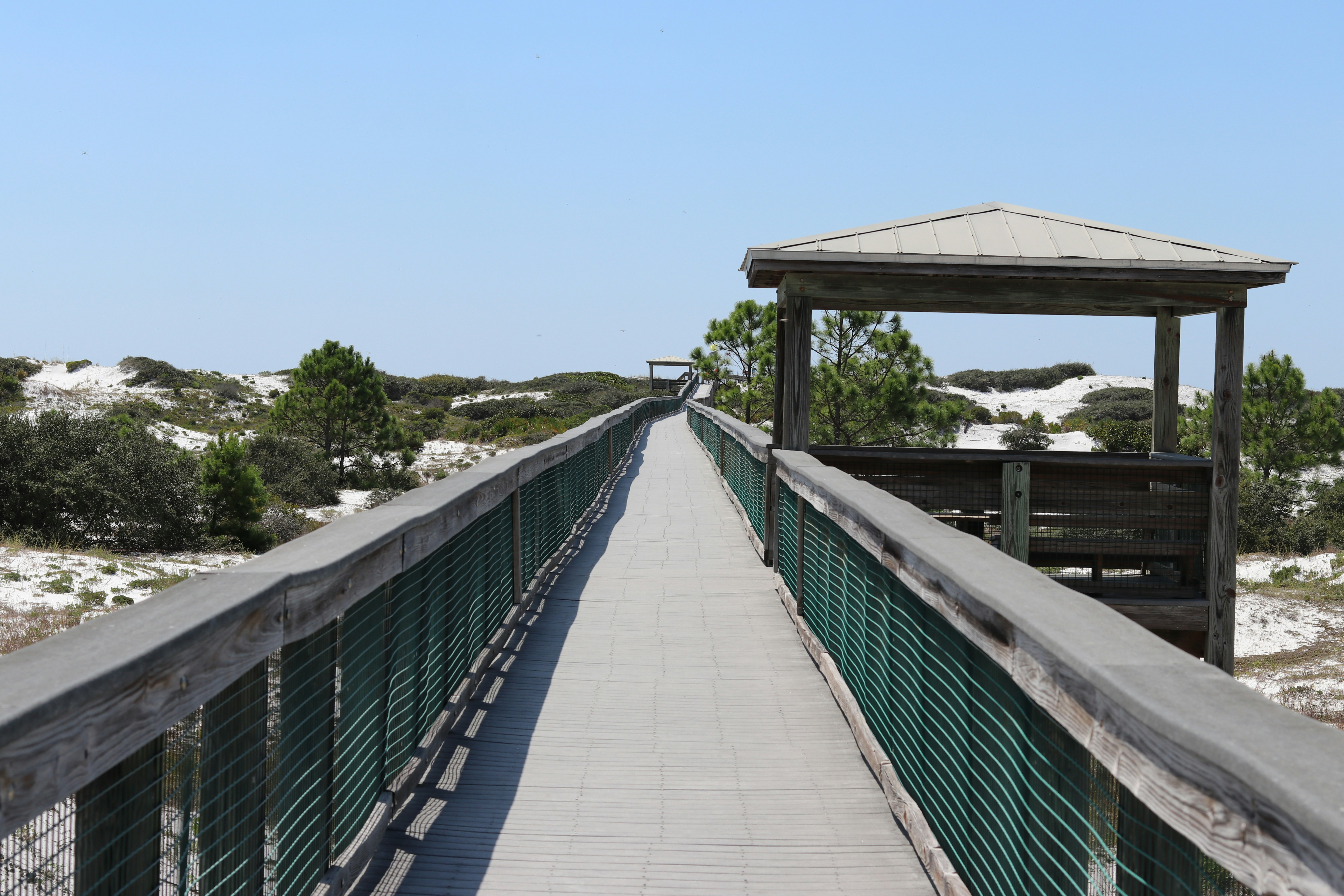 Photo by amenamabrouk