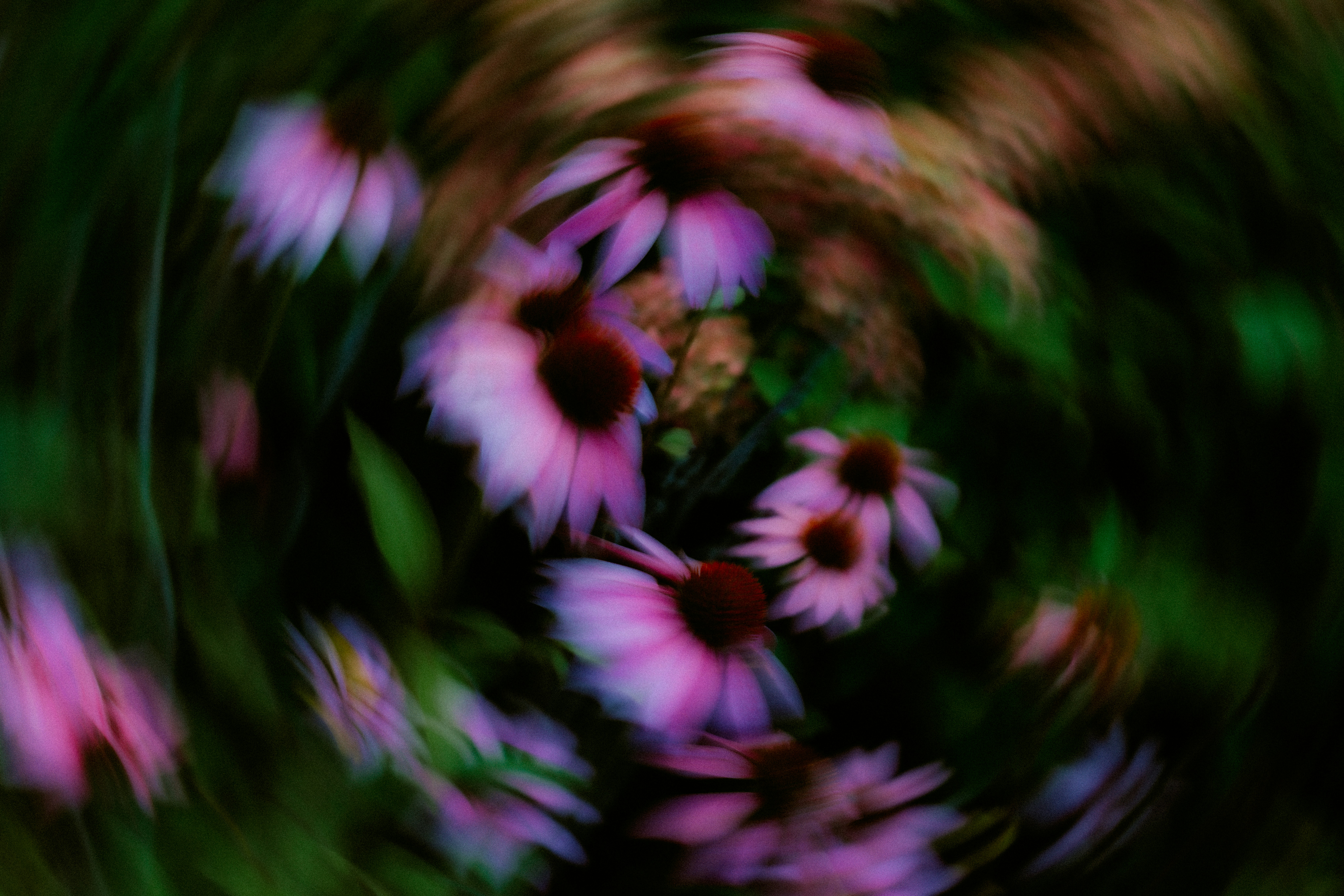 Photo by brookebalentine