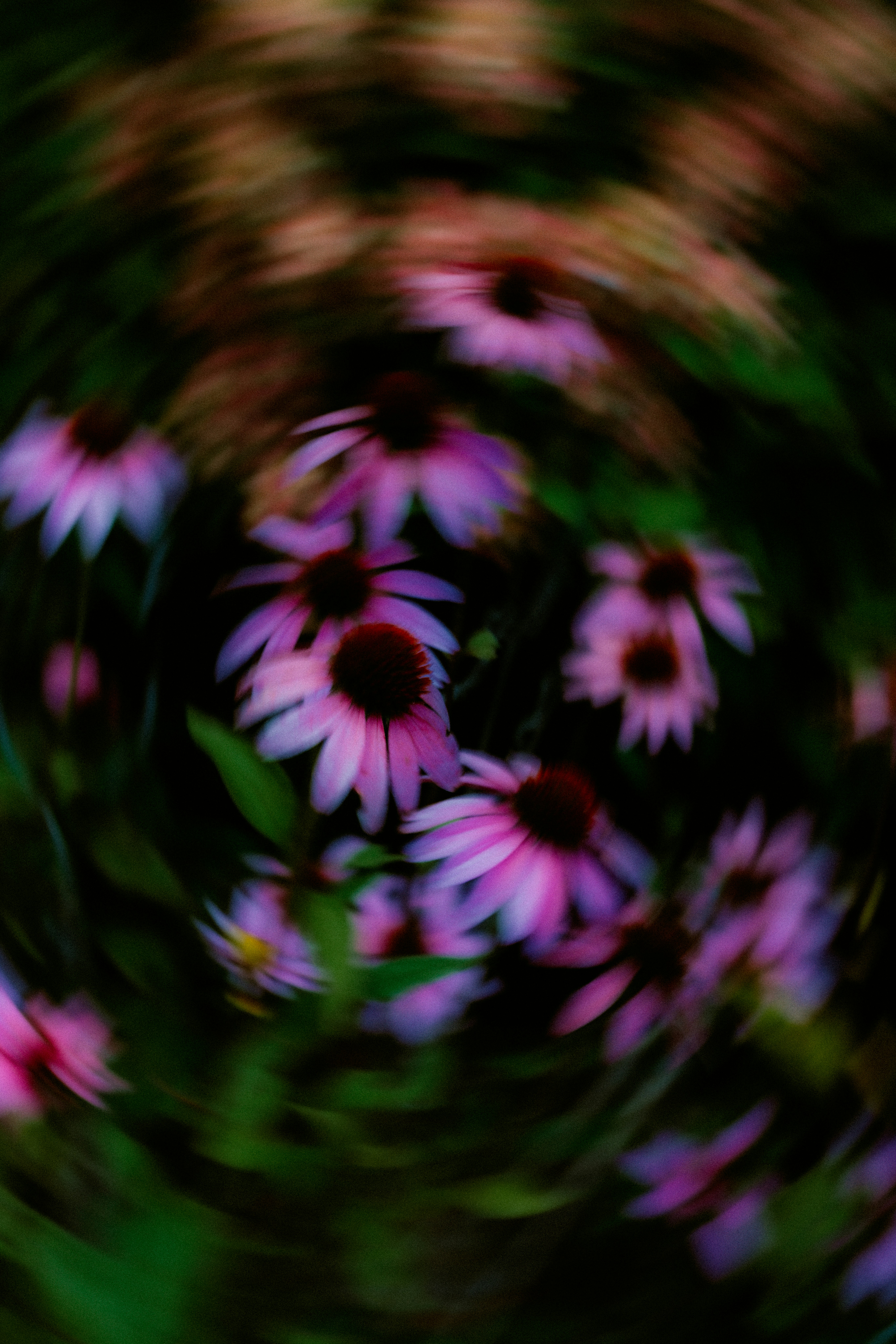 Photo by brookebalentine