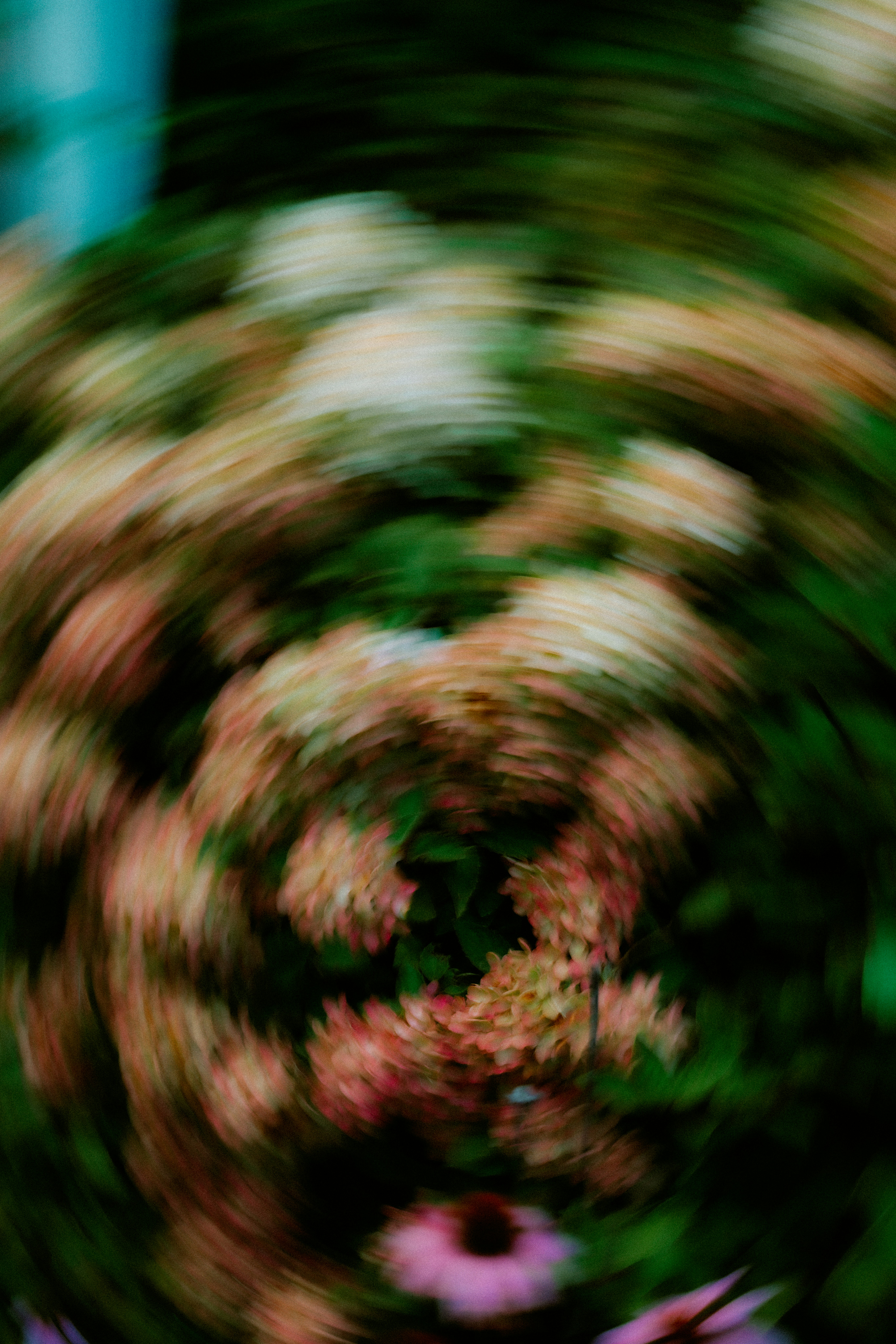 Abstract swirl of pink and white flowers