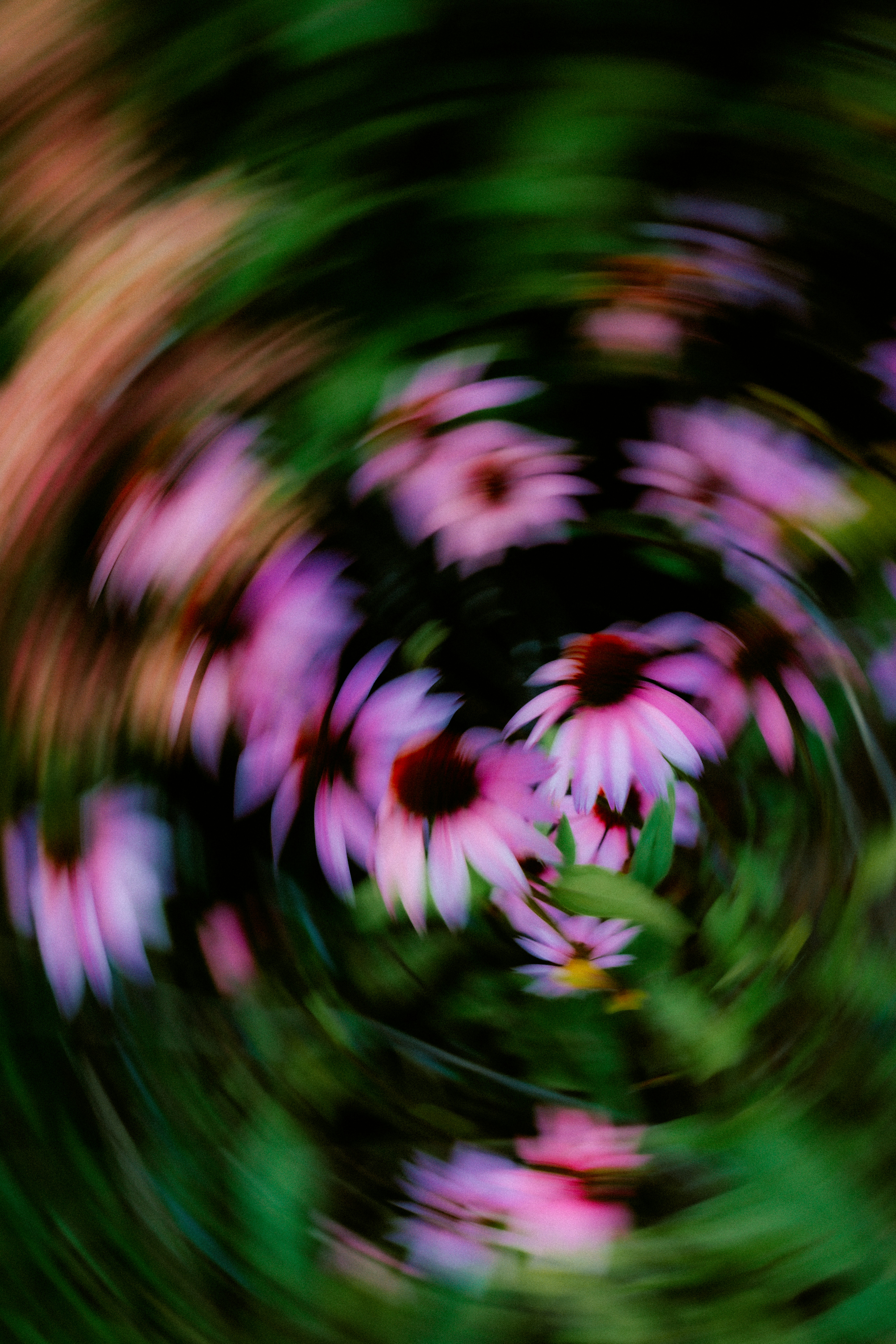 Photo by brookebalentine