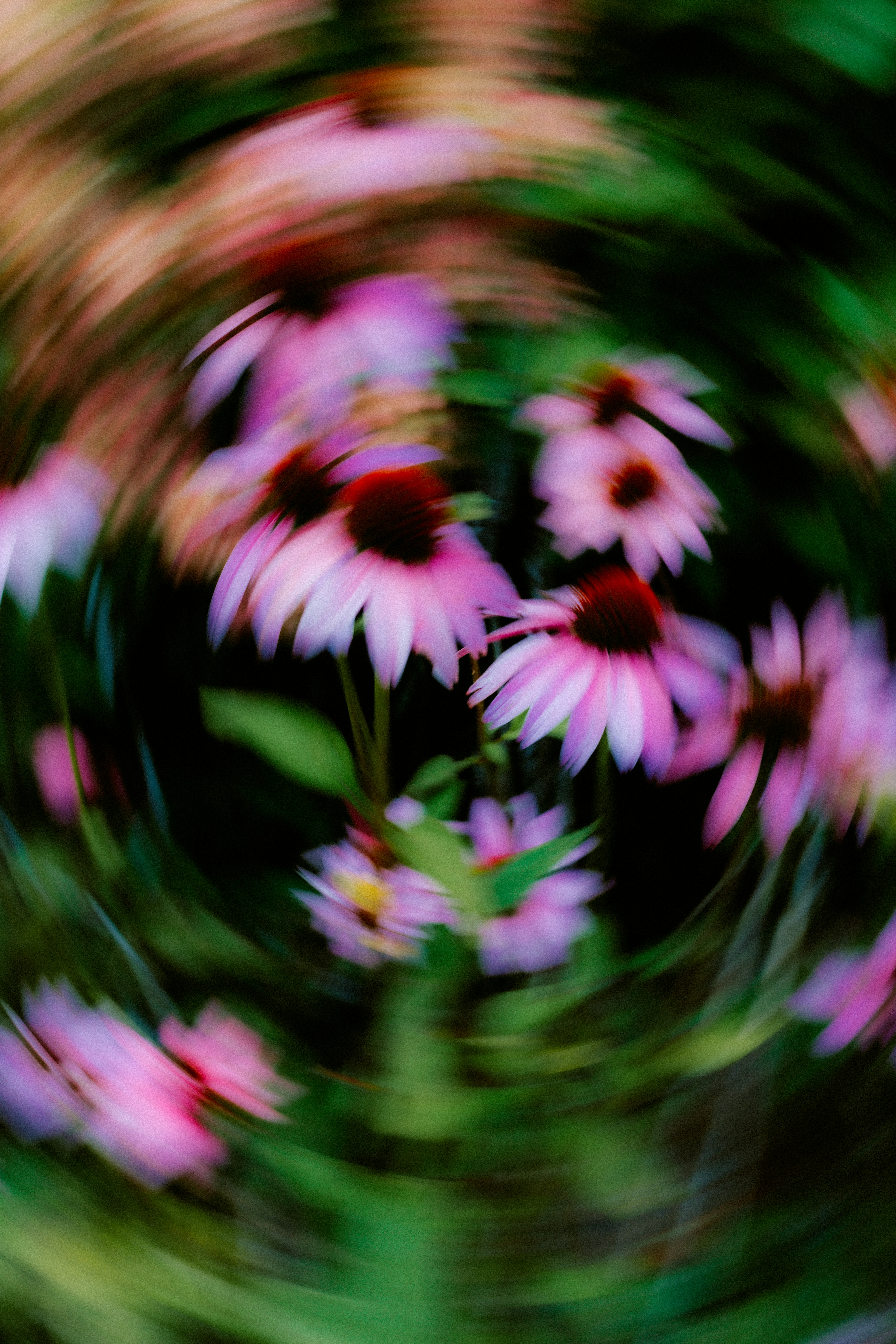 Photo by brookebalentine