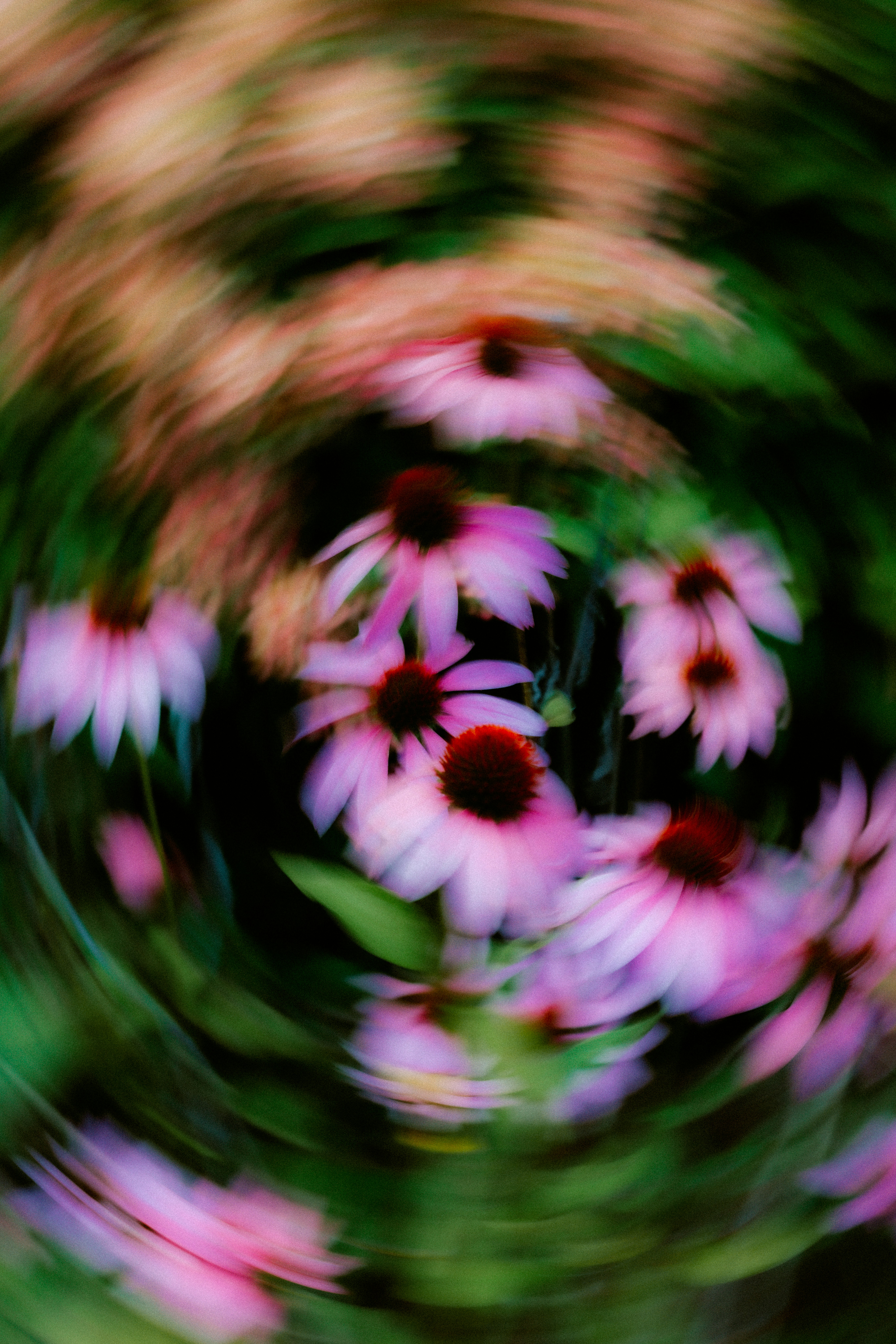 Photo by brookebalentine