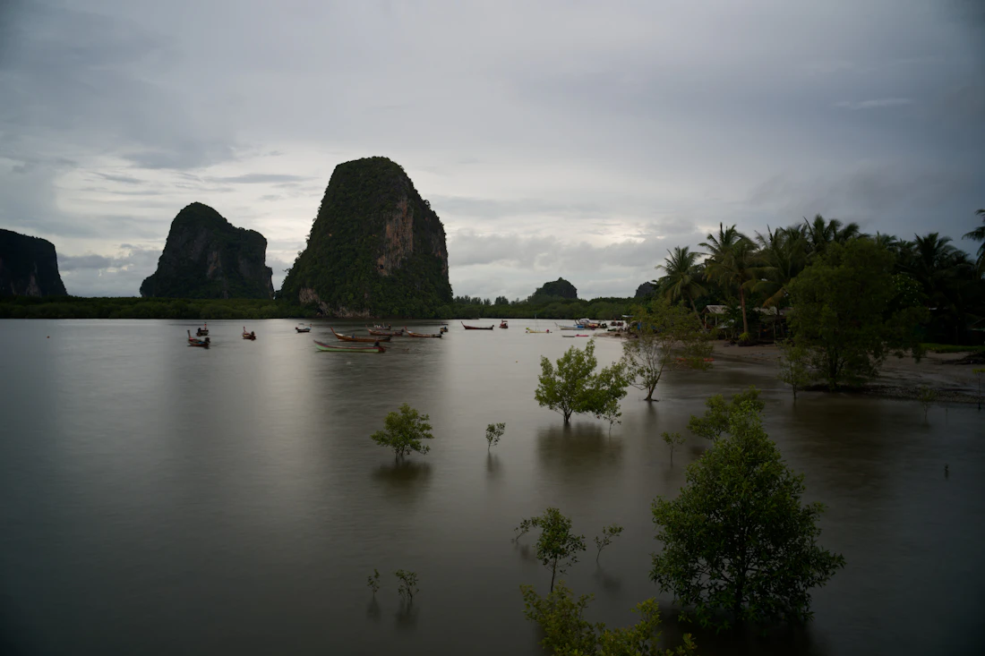 Limestone karst islands rising from calm green water