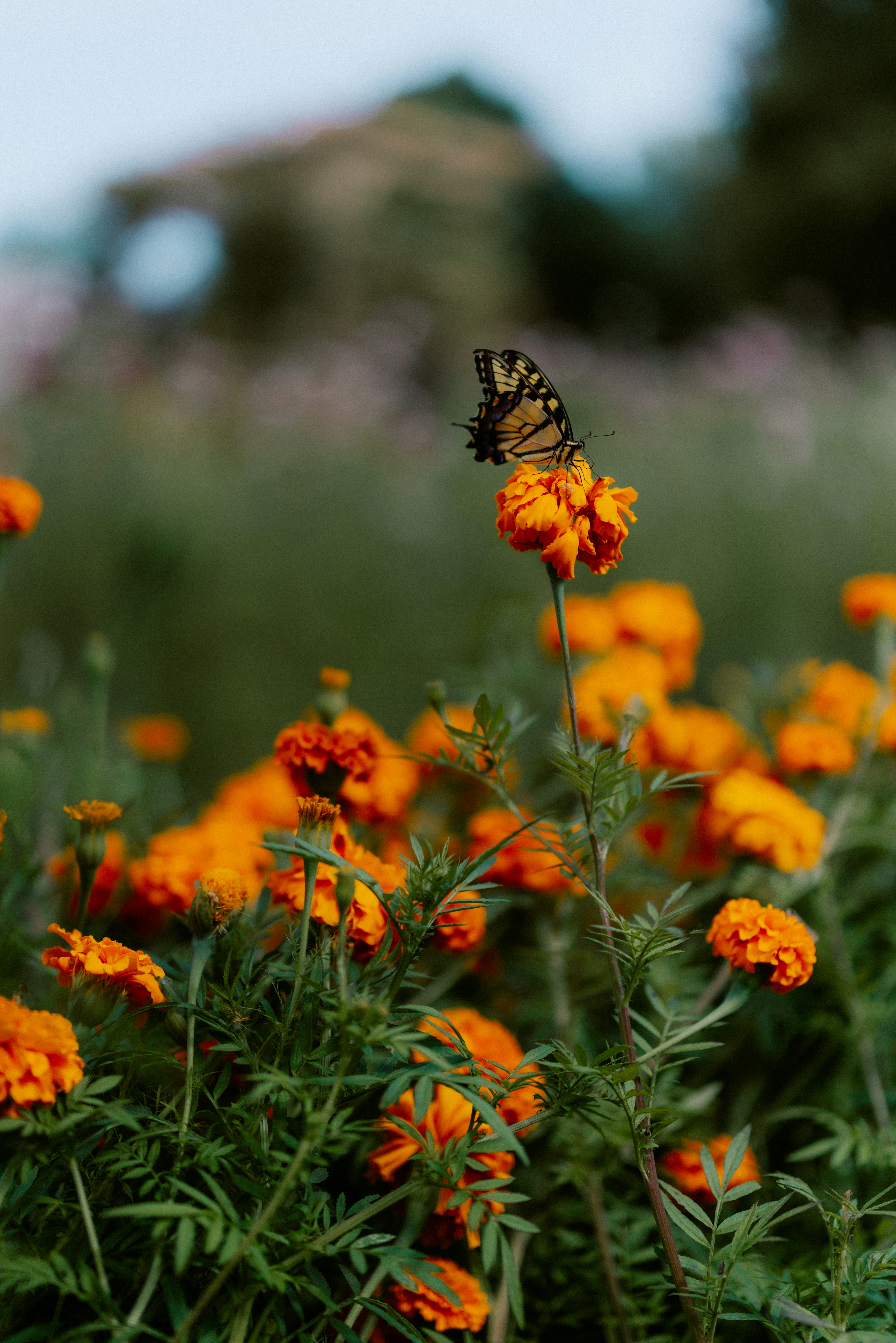 Photo by brookebalentine