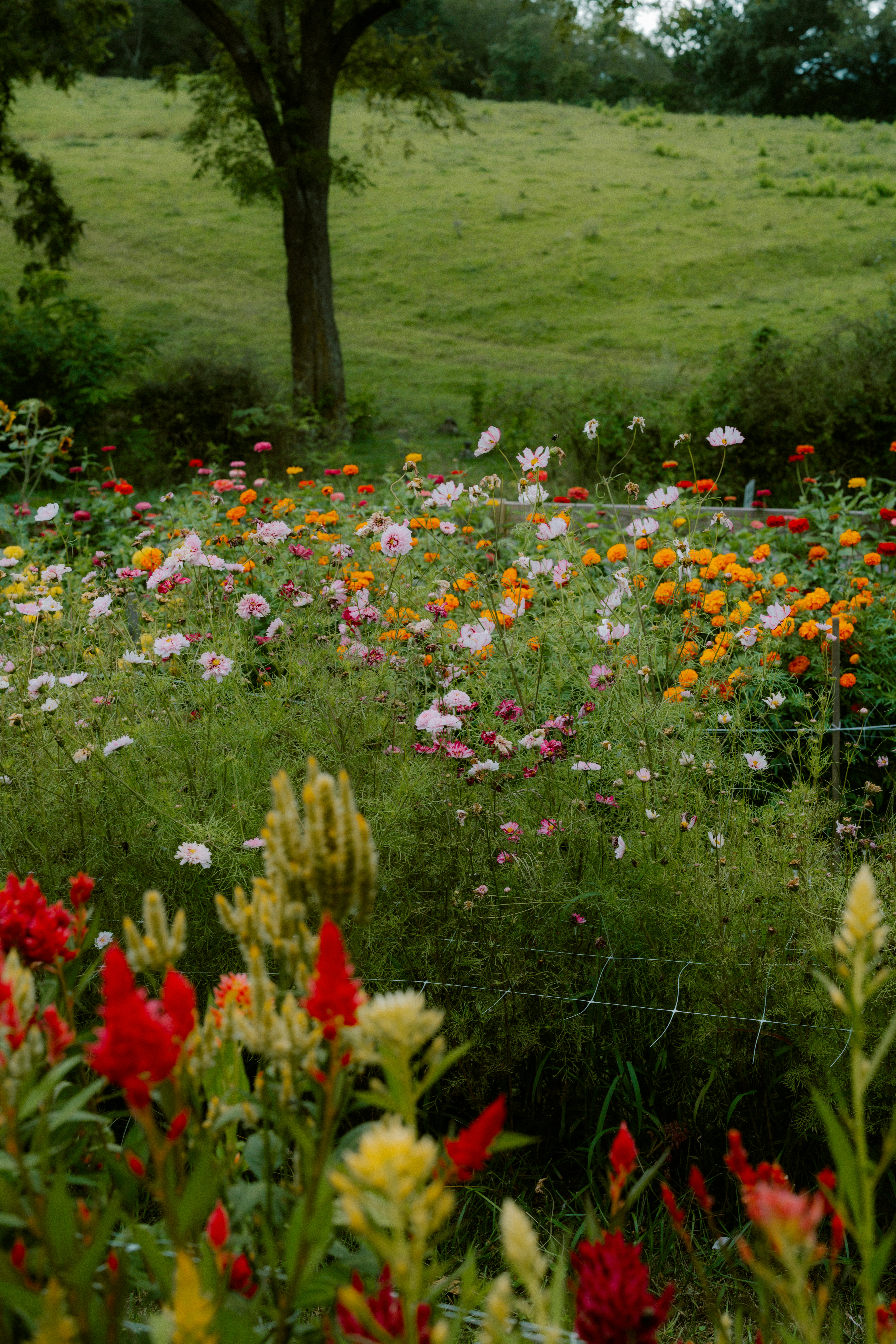 Photo by brookebalentine