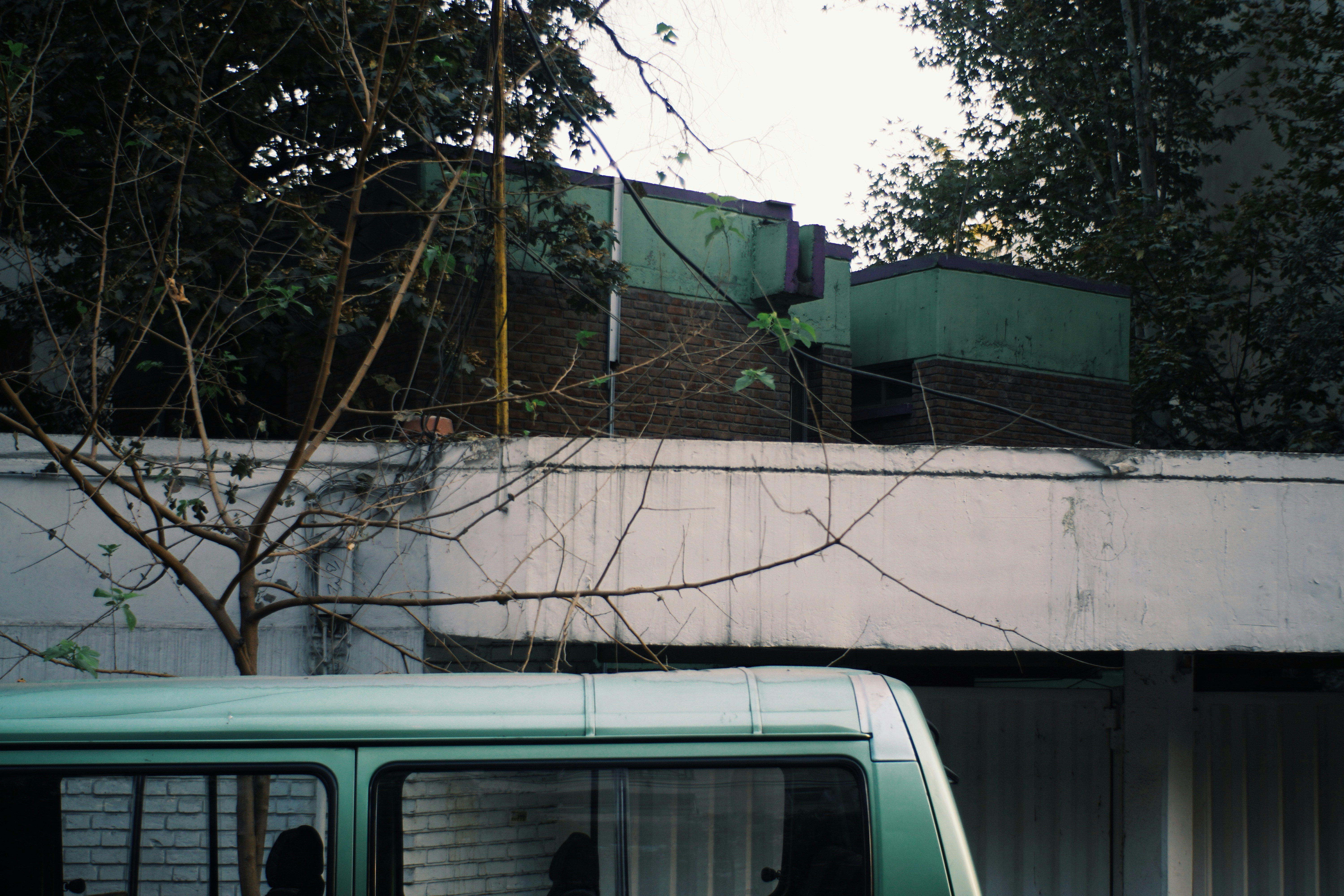 The quiet harmony of a city corner.