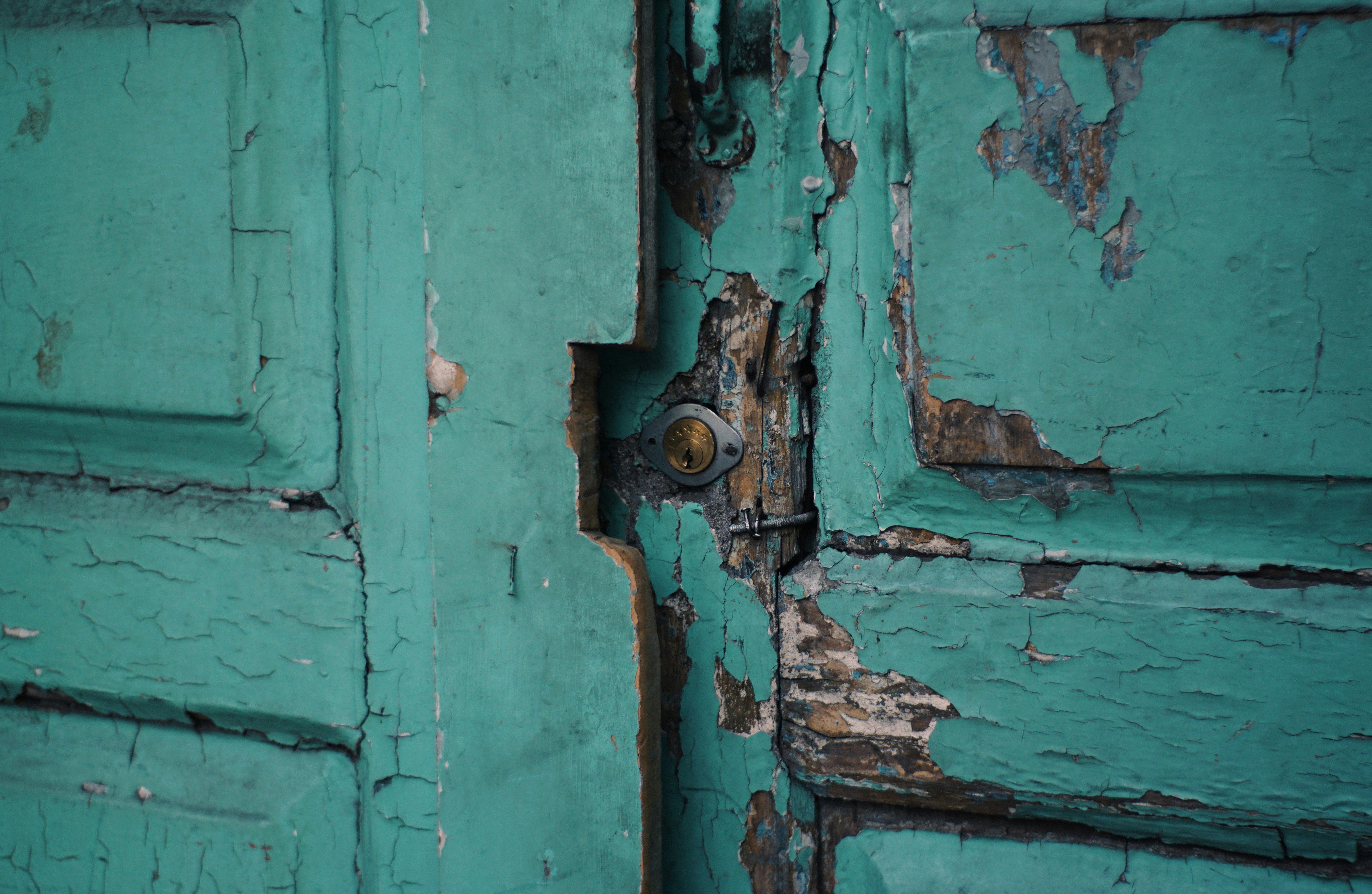 Photo by mdrezajalali