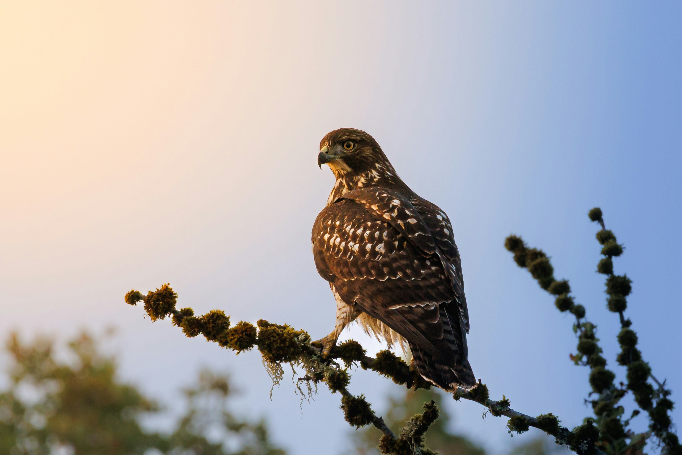 Photo by mikeschultz622