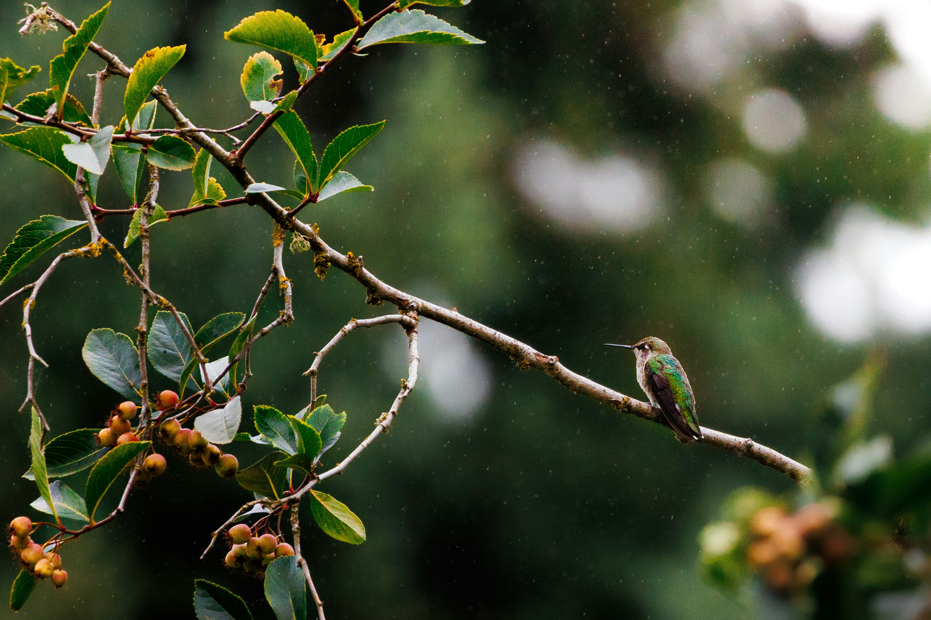 Photo by mikeschultz622