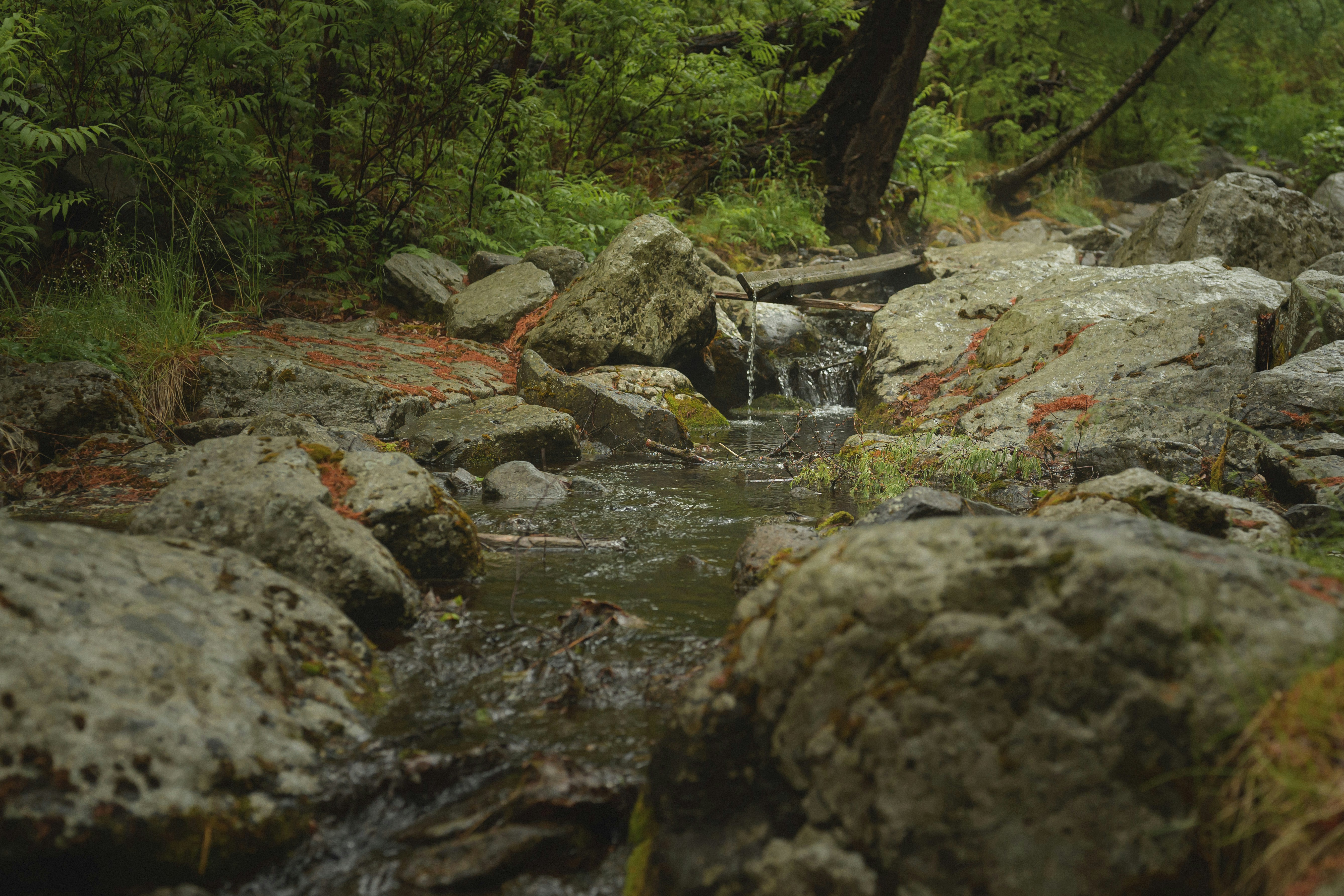 photo-1758355081313-a184ecbe6809