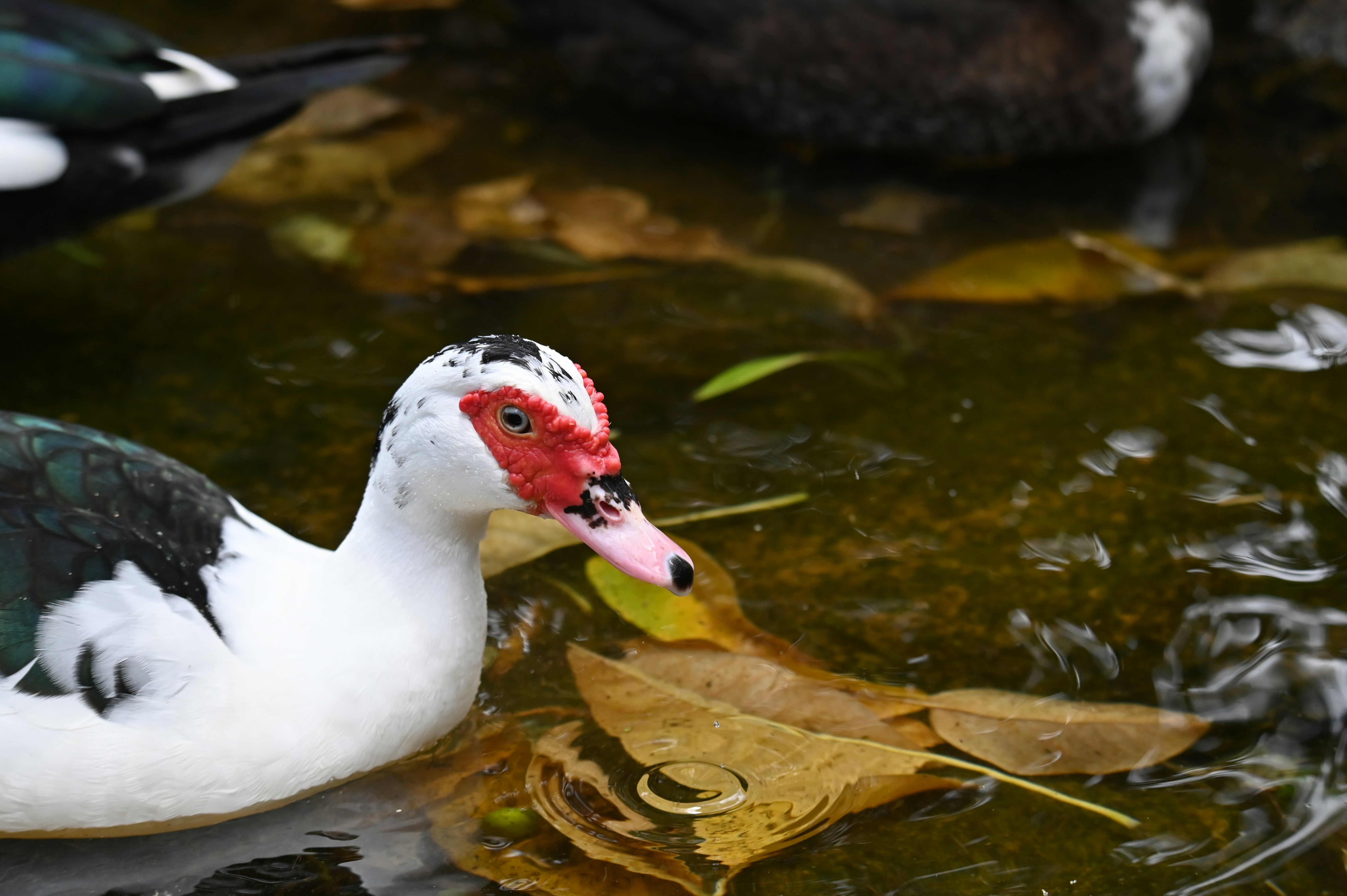 Photo by antaresphoto