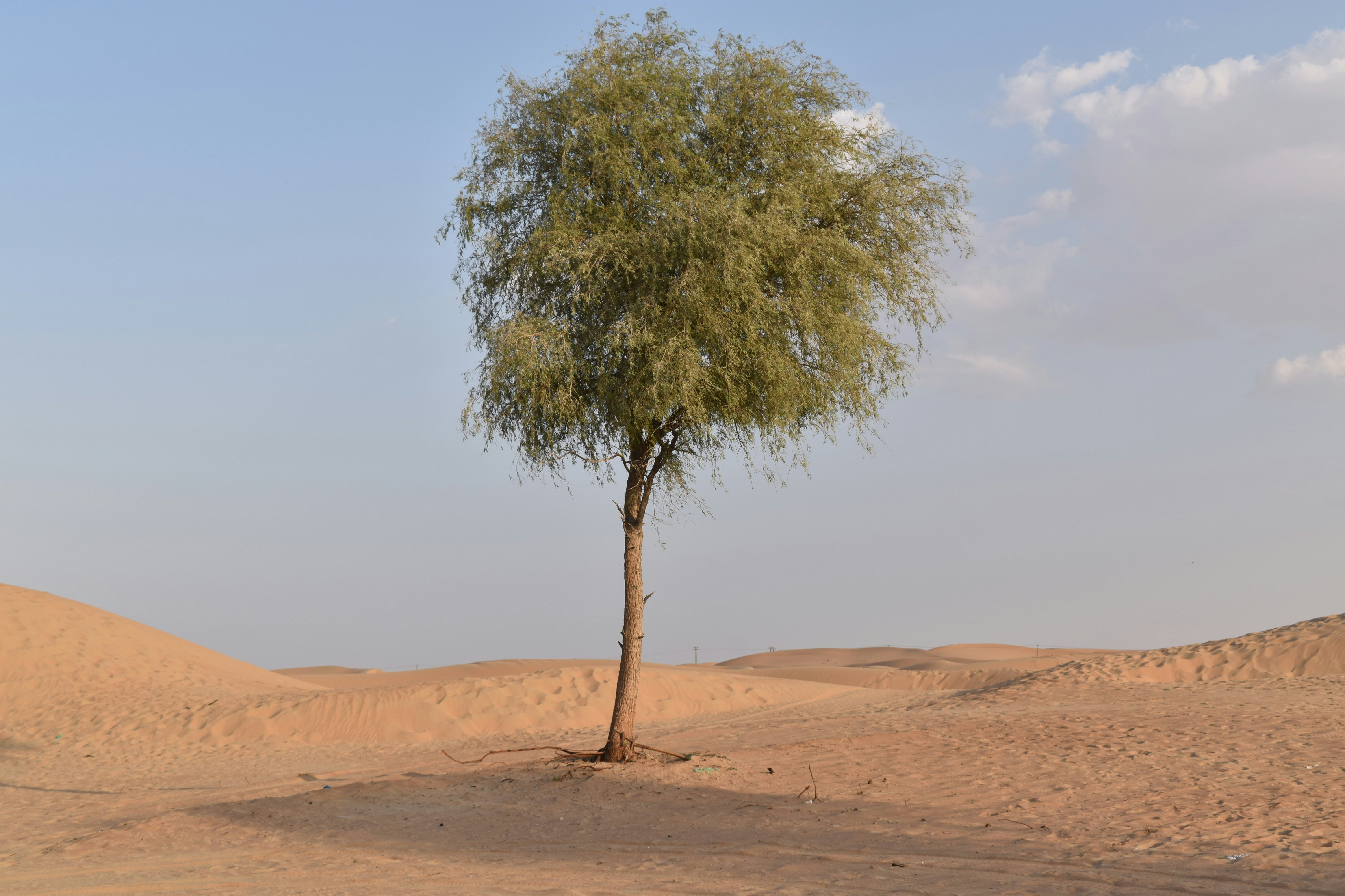 Photo by designwithriaz