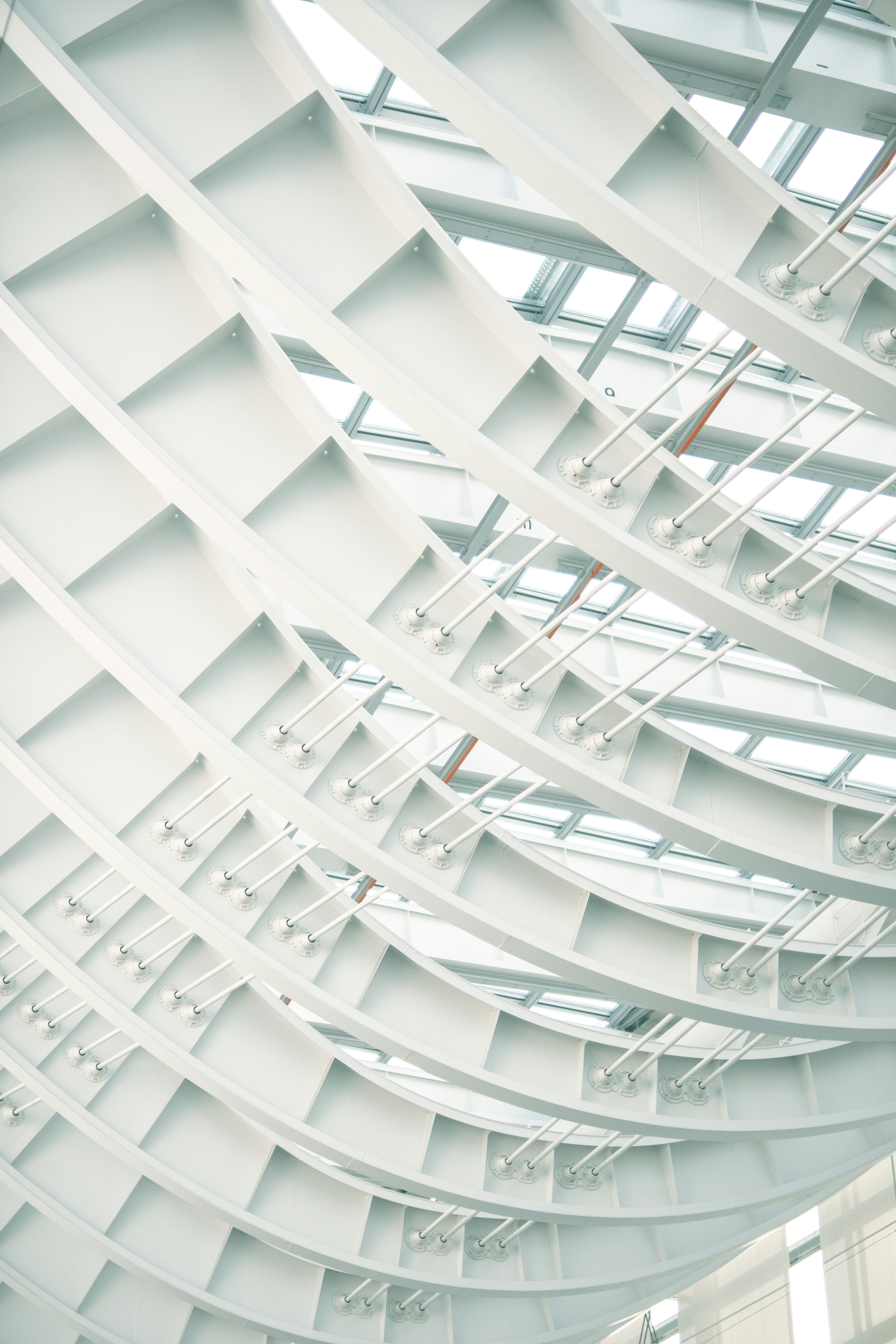 Photo by branislavrodman