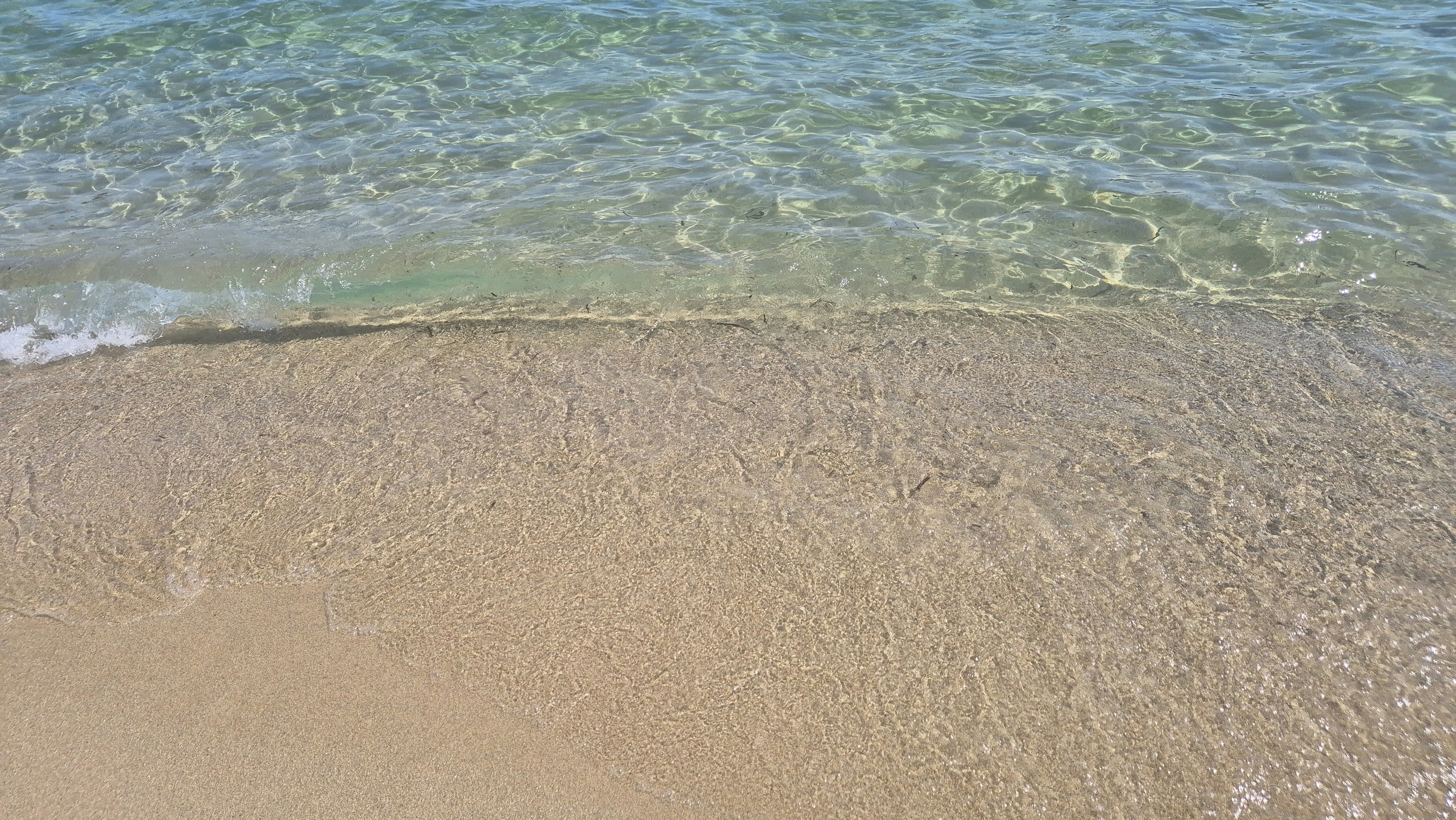 Photo by goldendolphin1975