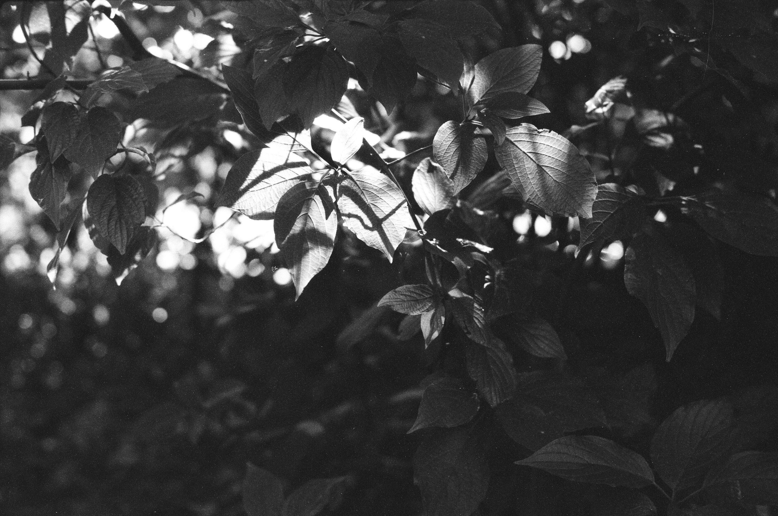 Photo by _nadinchik_