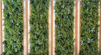 Four vertical panels of lush green plants.
