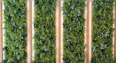 Four vertical panels of lush green plants.