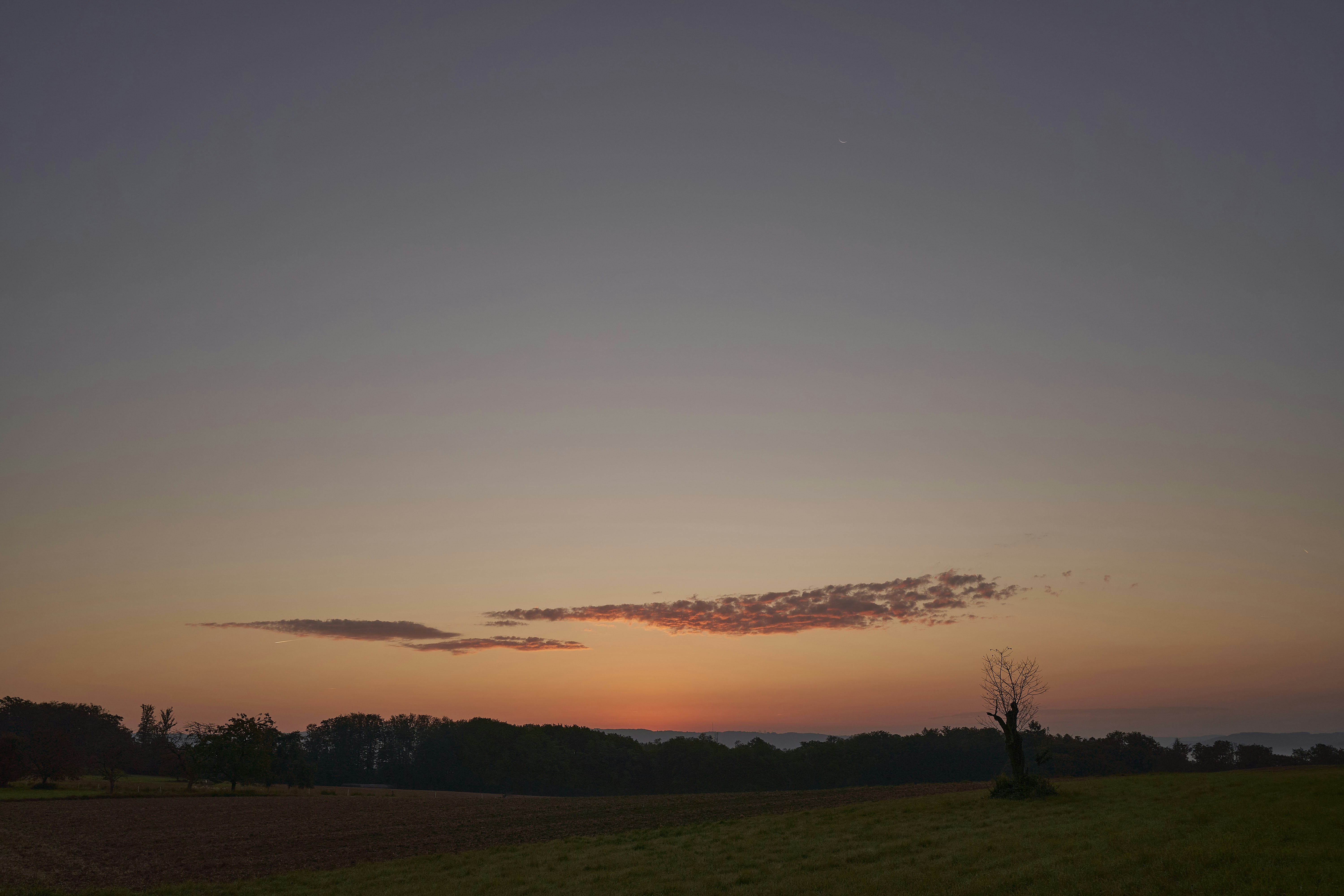 Photo by wolfgang_hasselmann