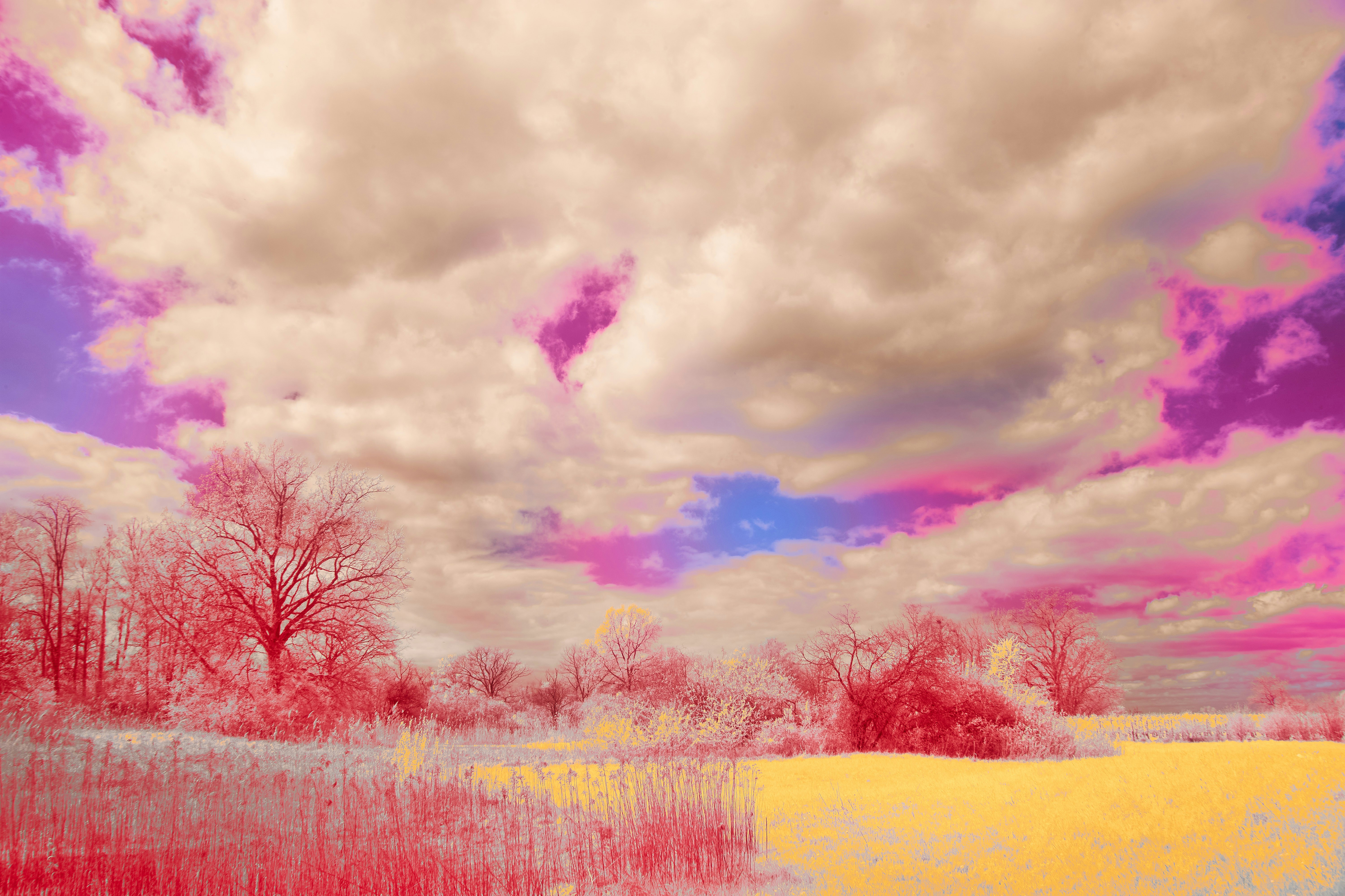 Photo by wolfgang_hasselmann