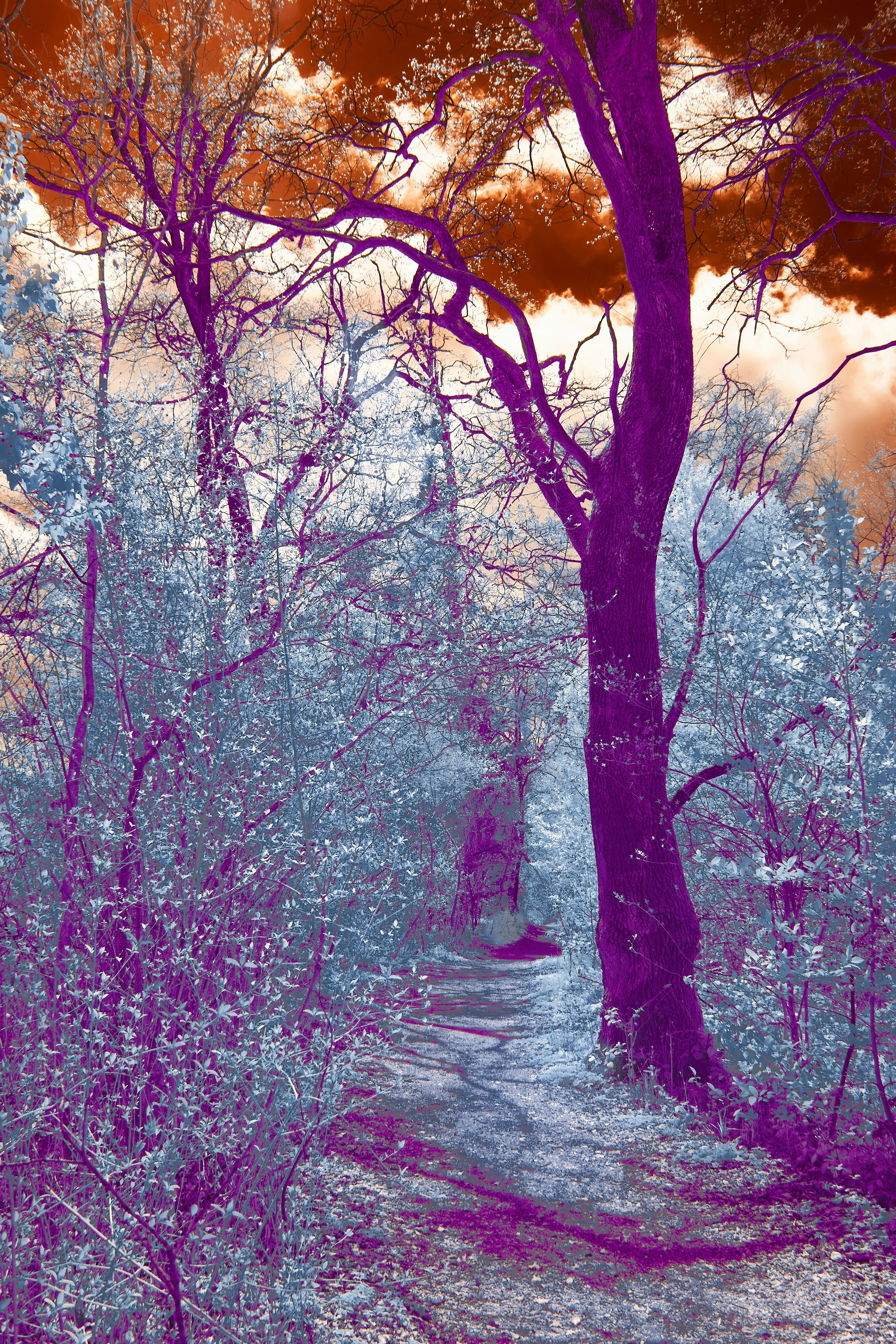 Photo by wolfgang_hasselmann