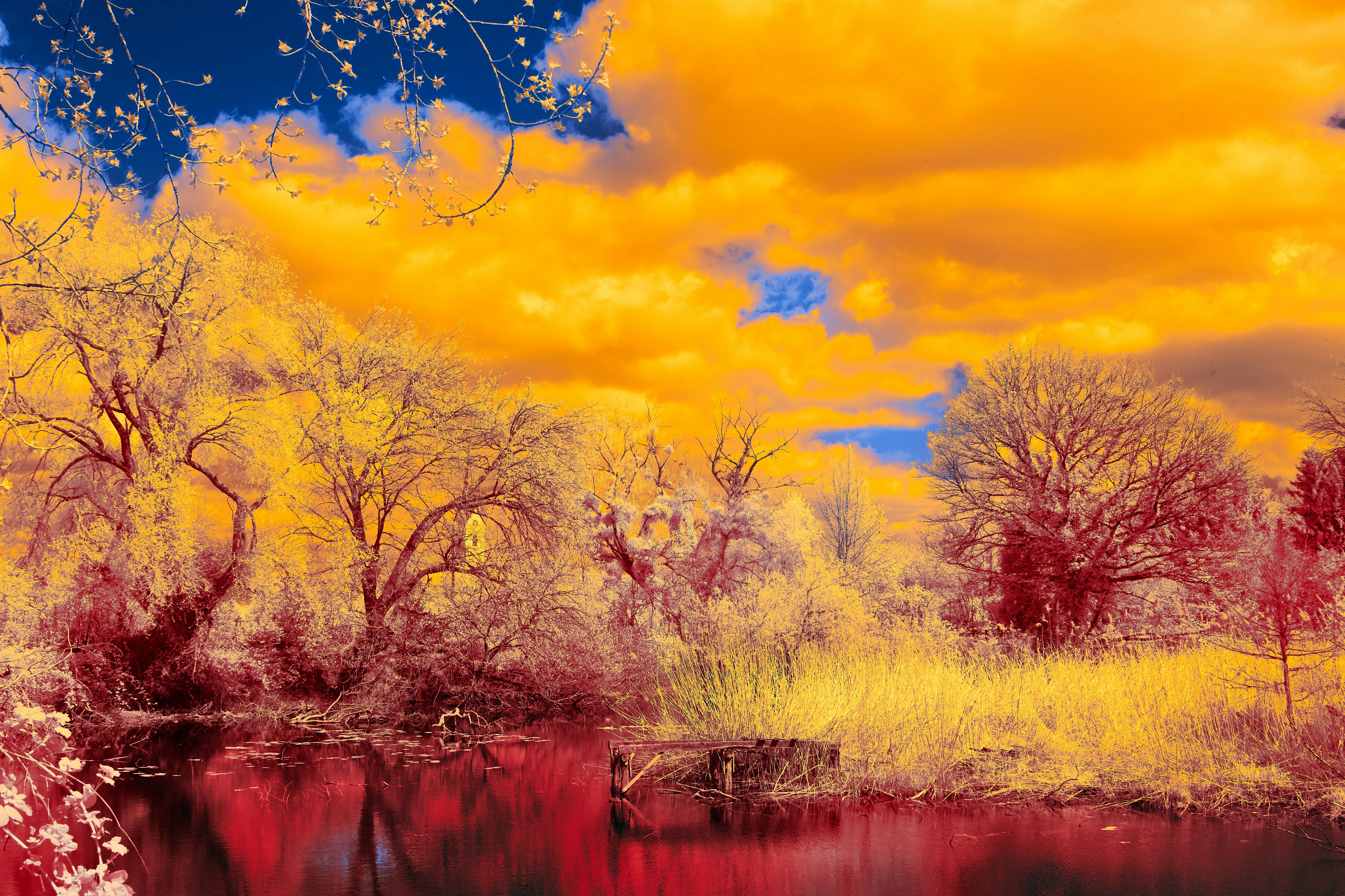 Photo by wolfgang_hasselmann