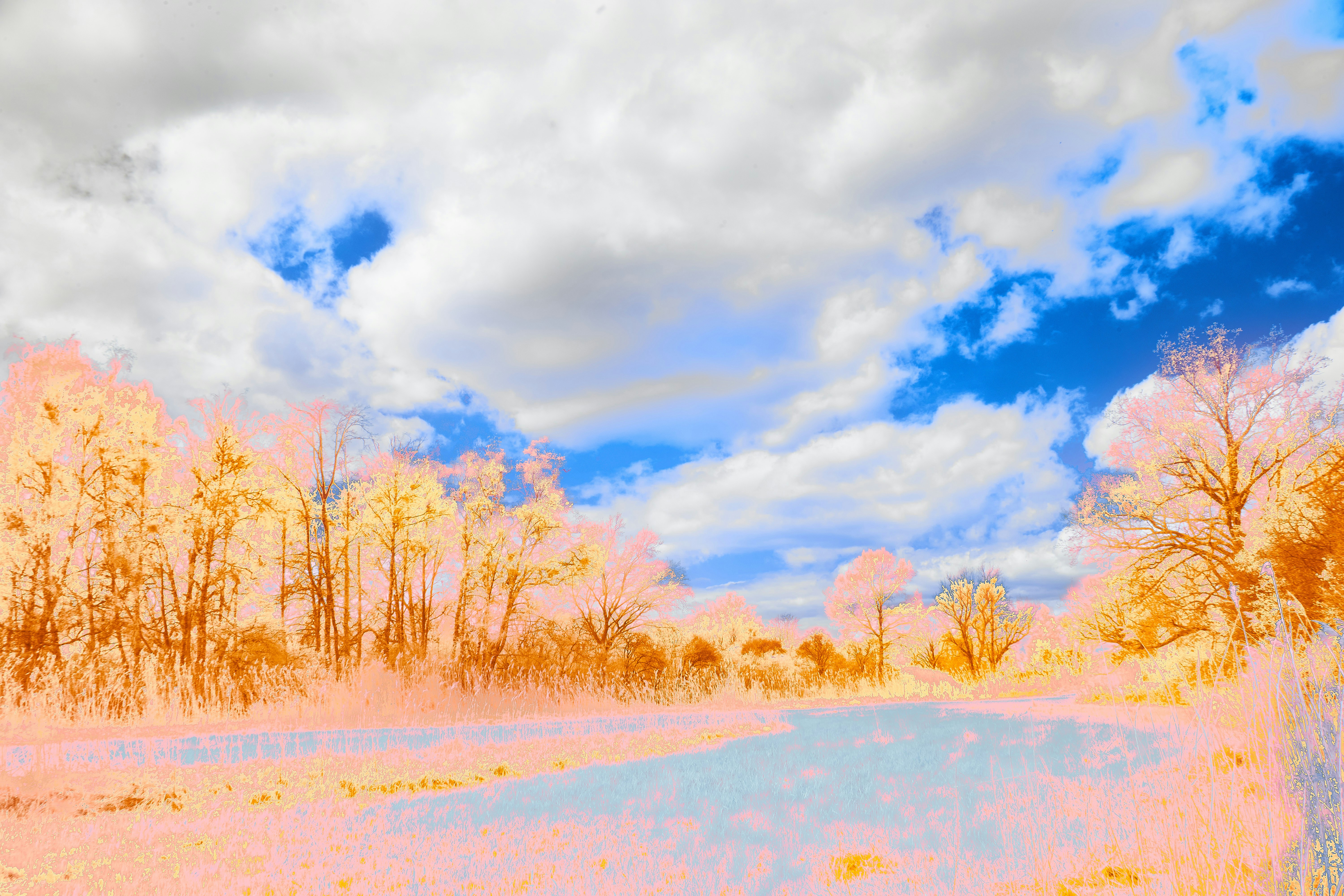 Photo by wolfgang_hasselmann