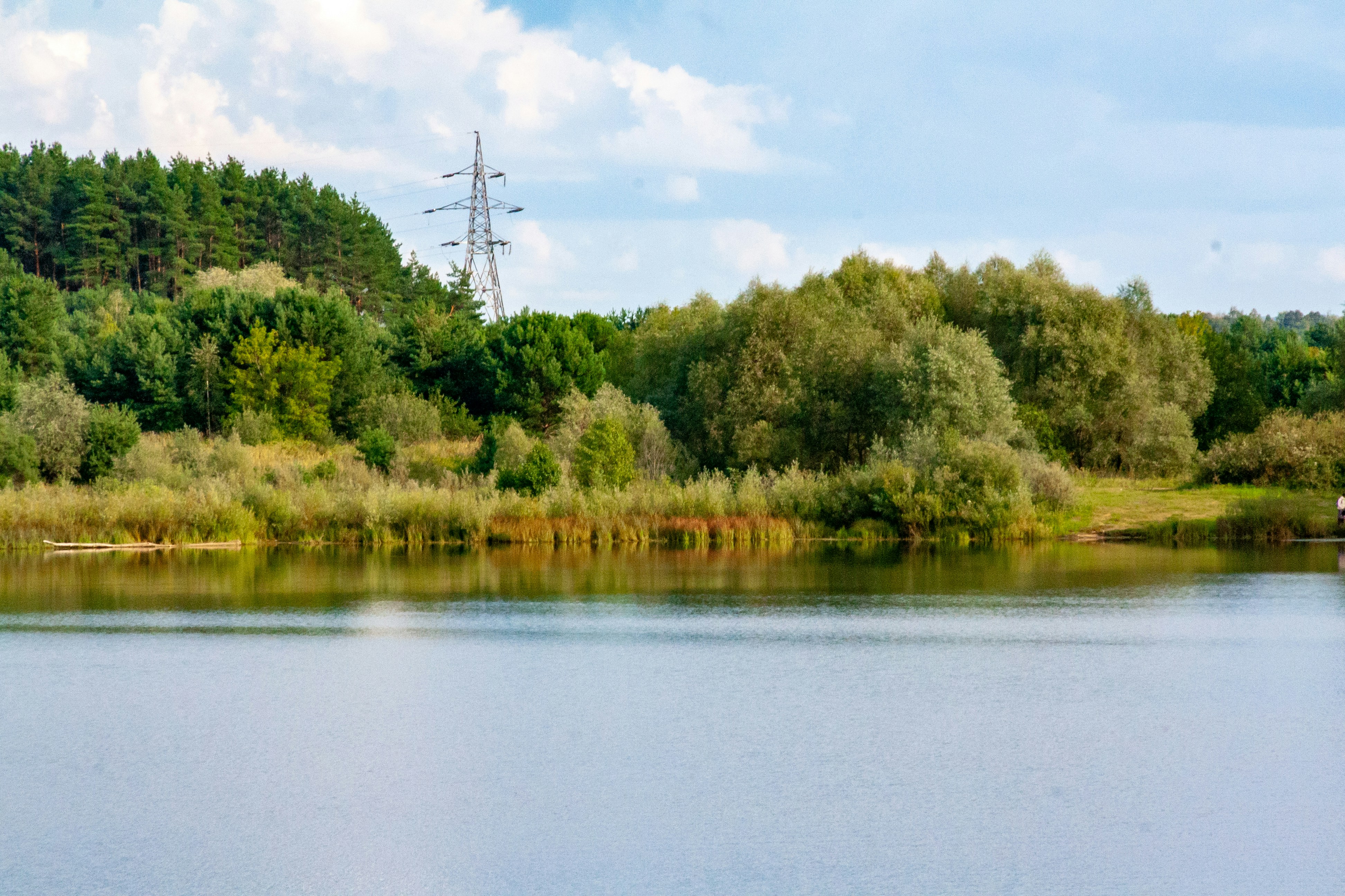 Photo by kulikovnik2