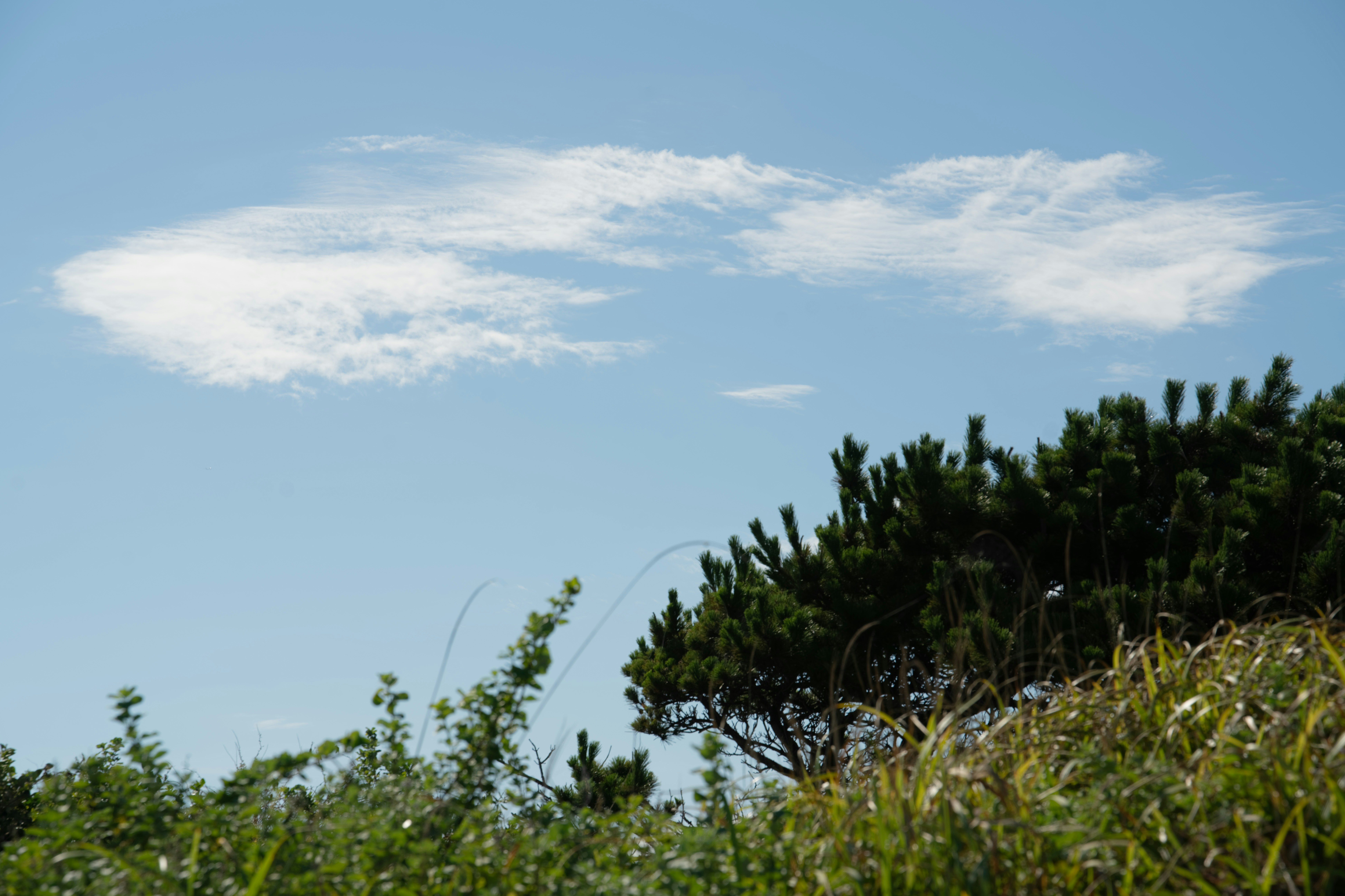 Photo by da_shika_photo