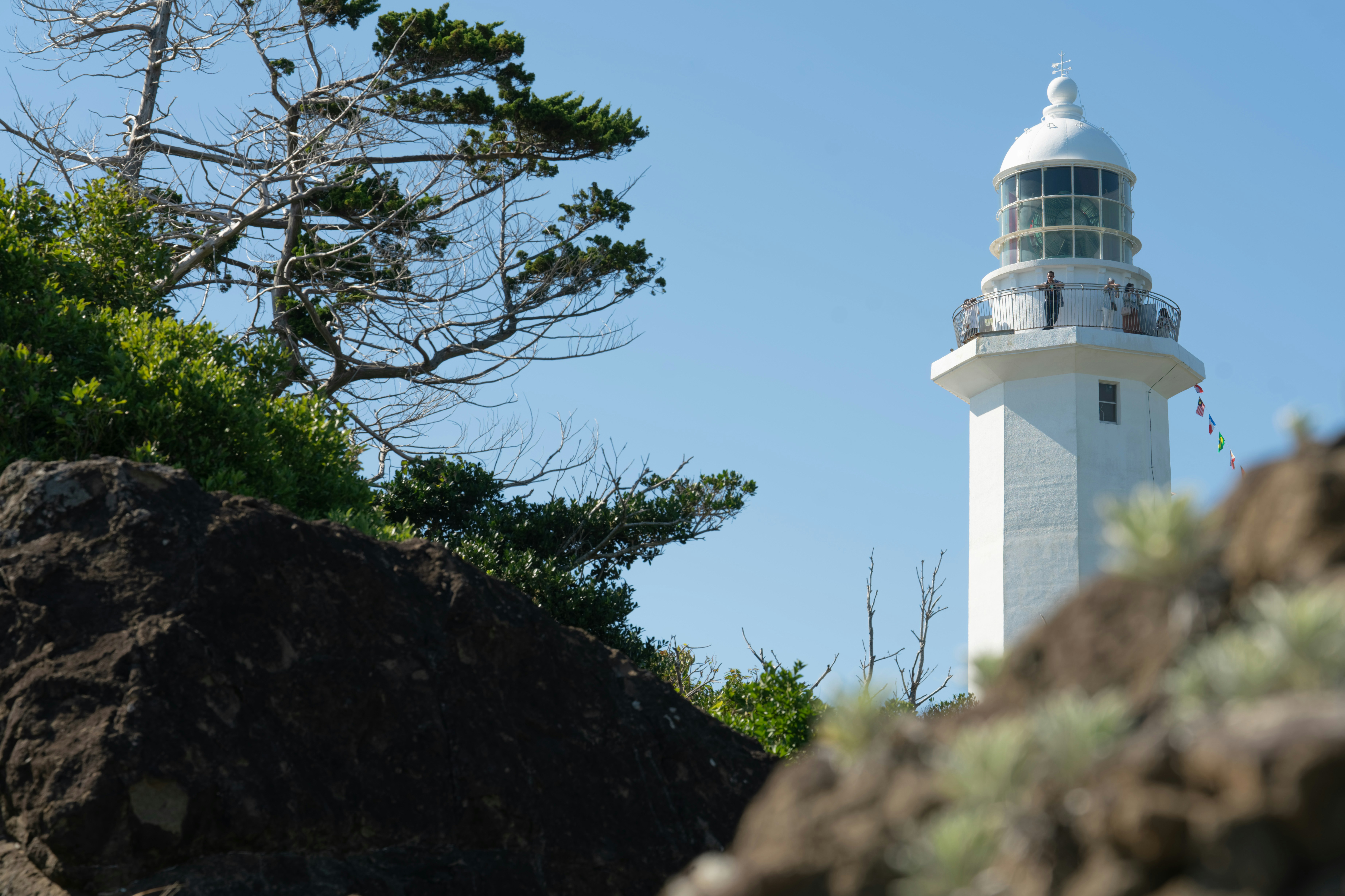 Photo by da_shika_photo