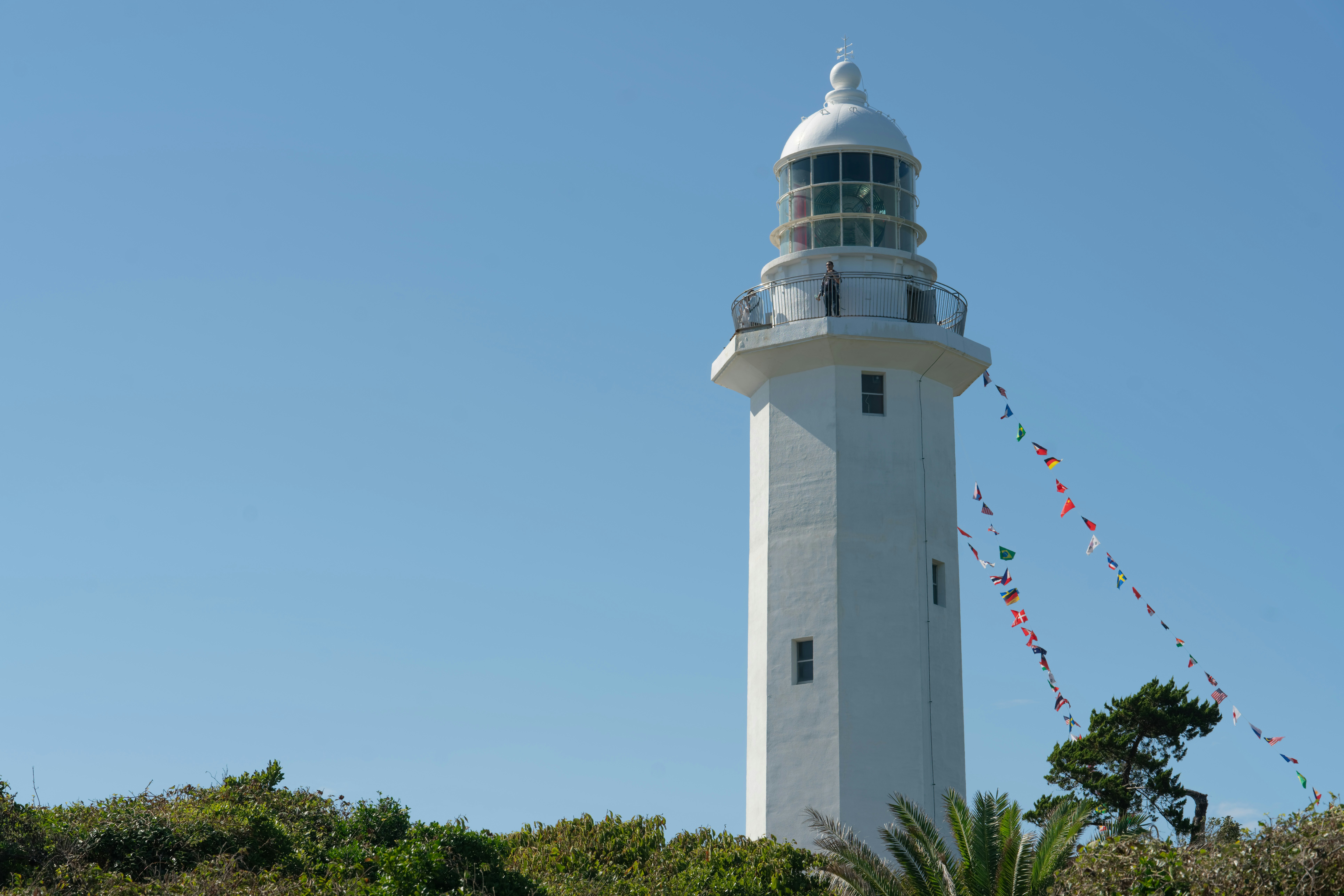 Photo by da_shika_photo